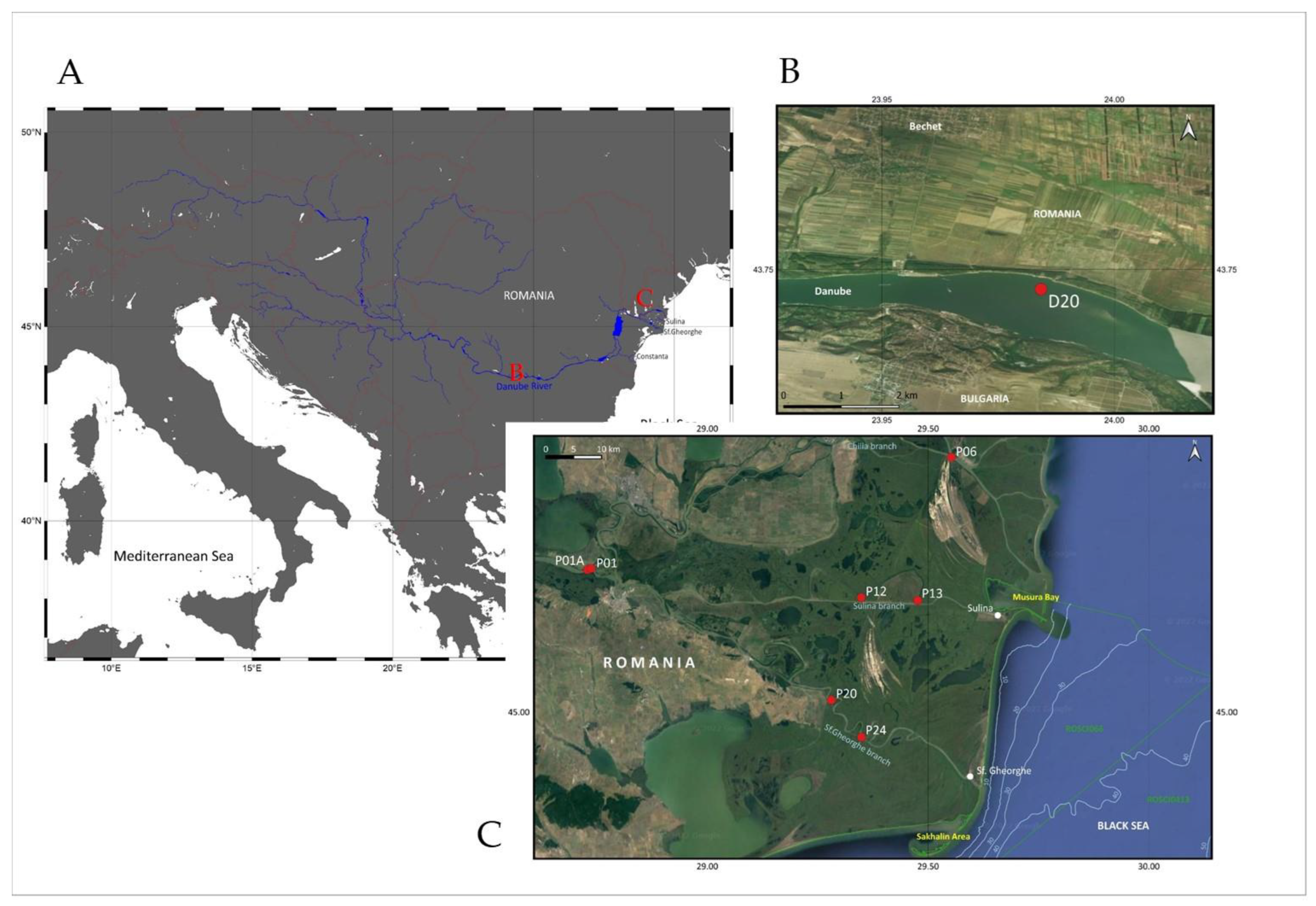 Diversity 14 00533 g001