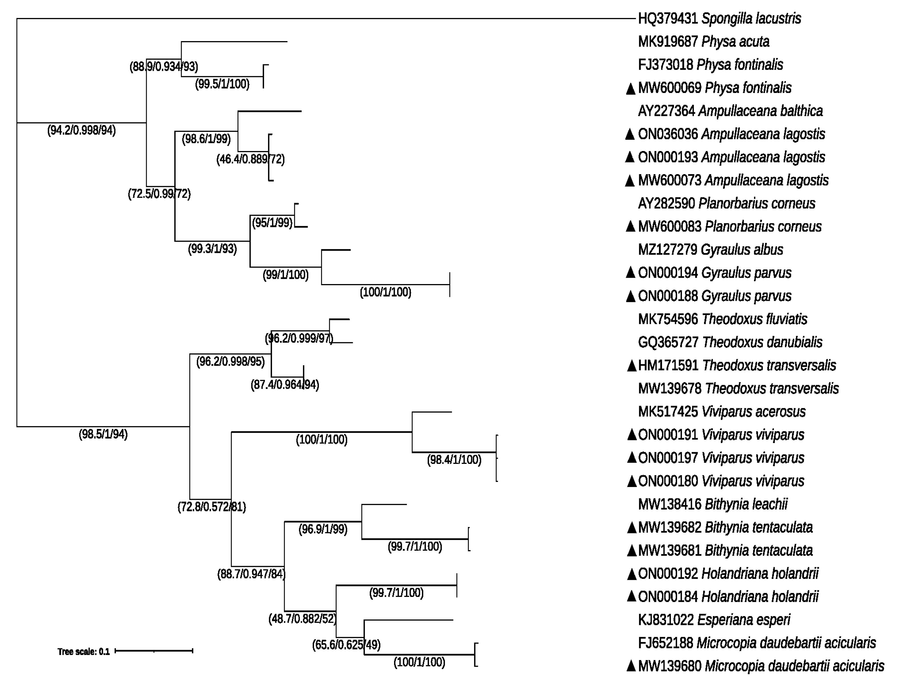 Diversity 14 00533 g002