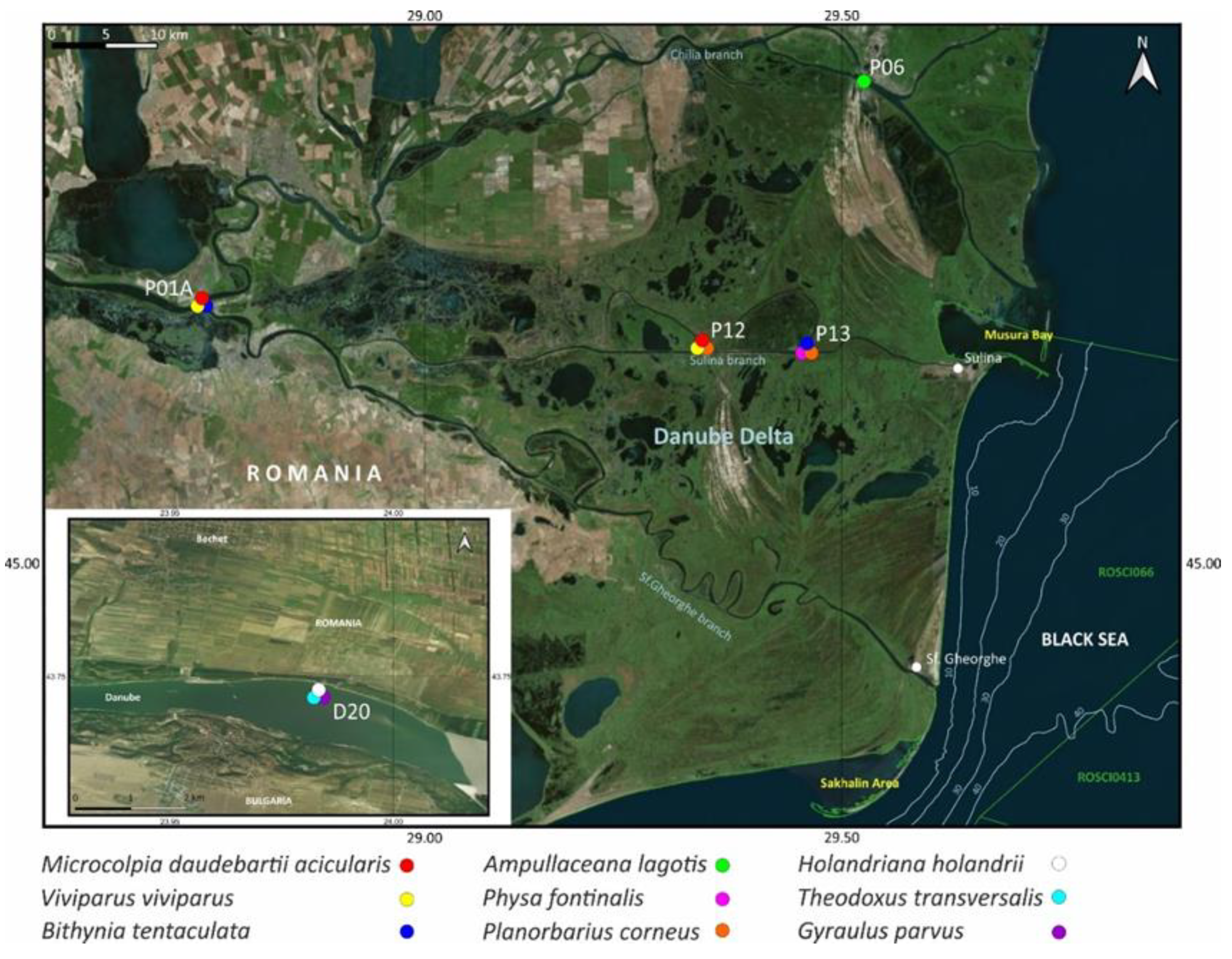 Diversity 14 00533 g004