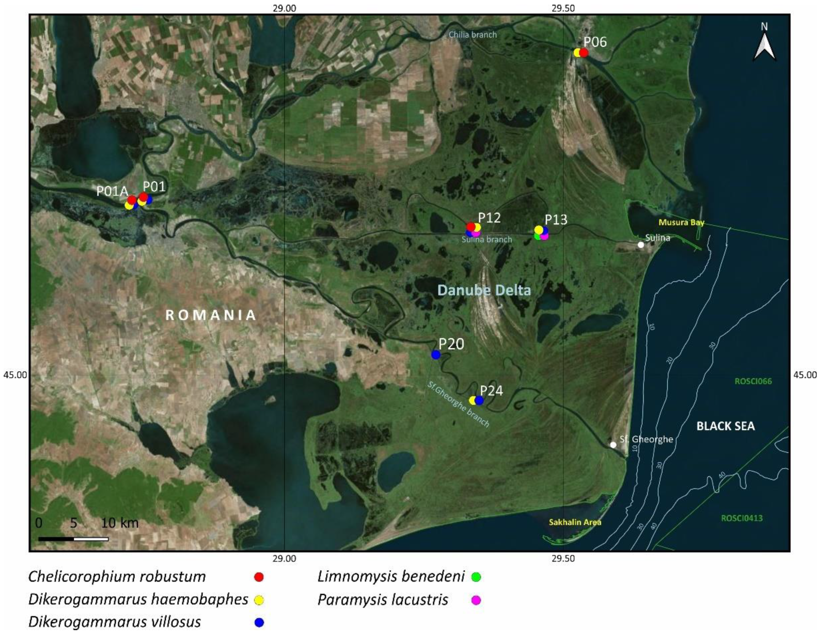 Diversity 14 00533 g005