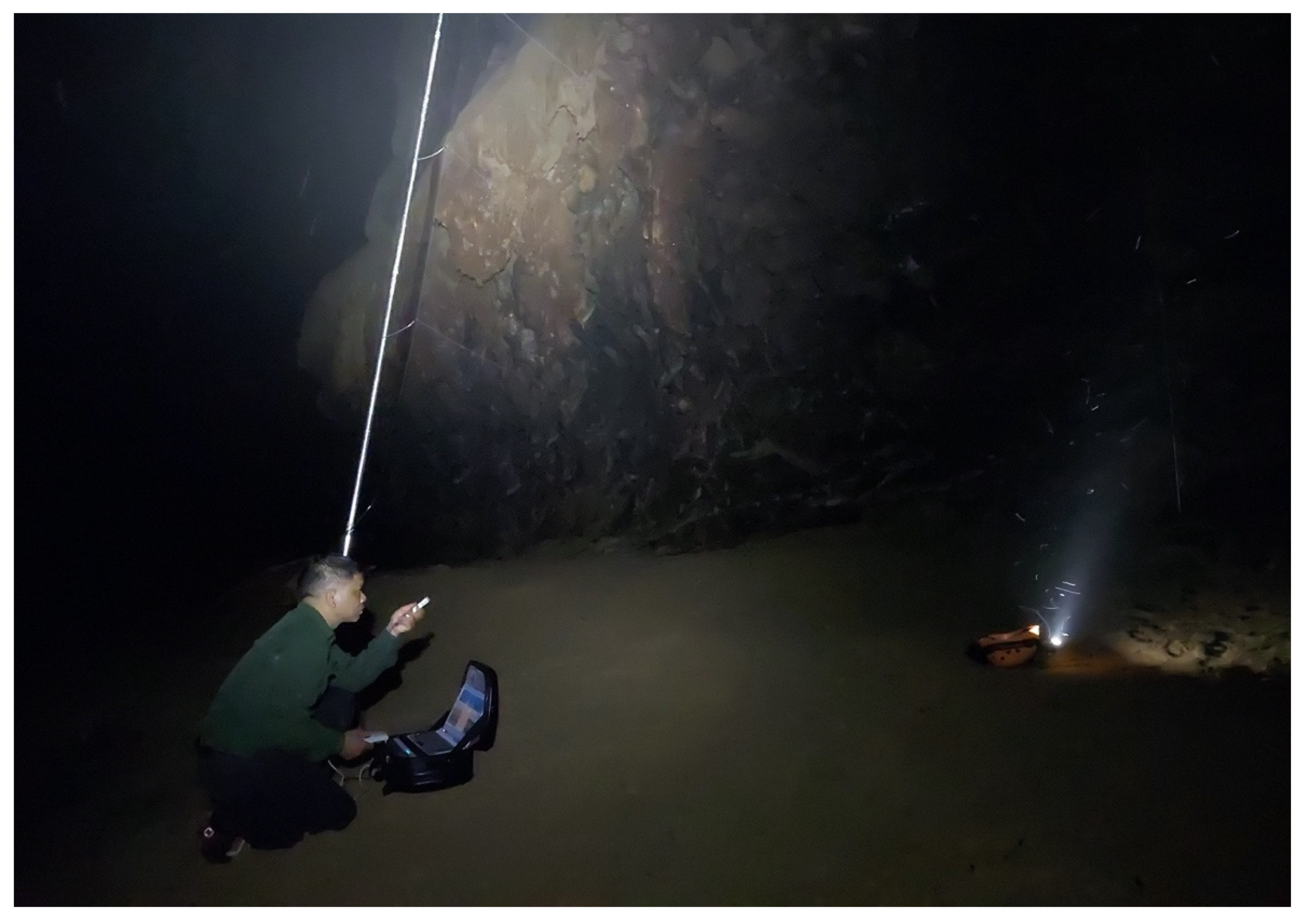 Diversity 14 00534 g002 Diversity 14 00534 g002