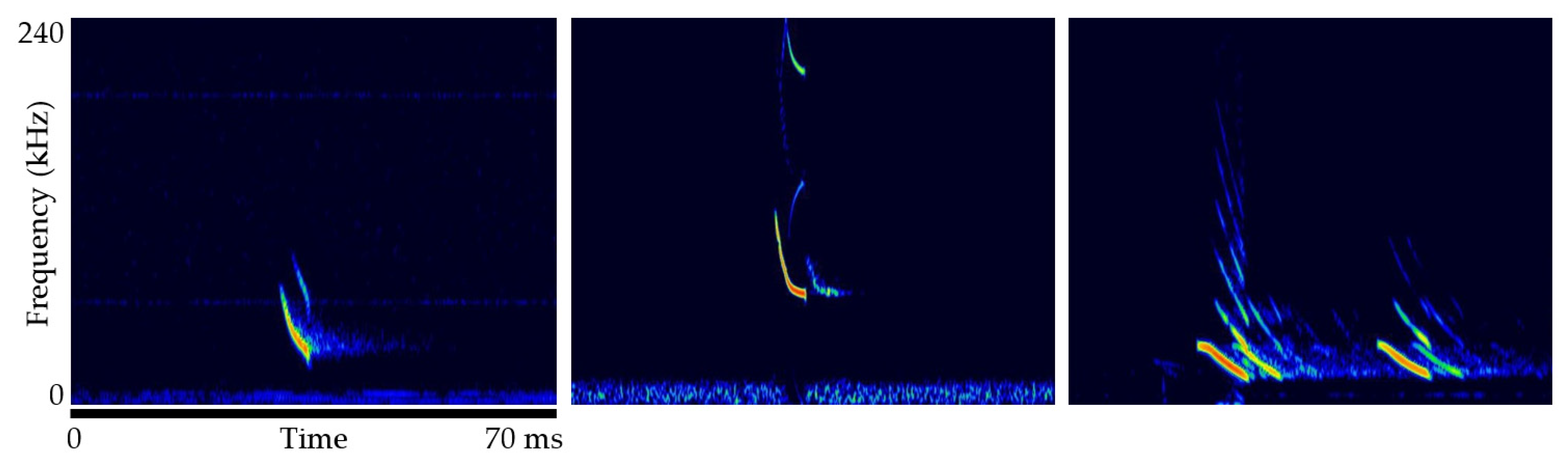 Diversity 14 00534 g007 Diversity 14 00534 g007