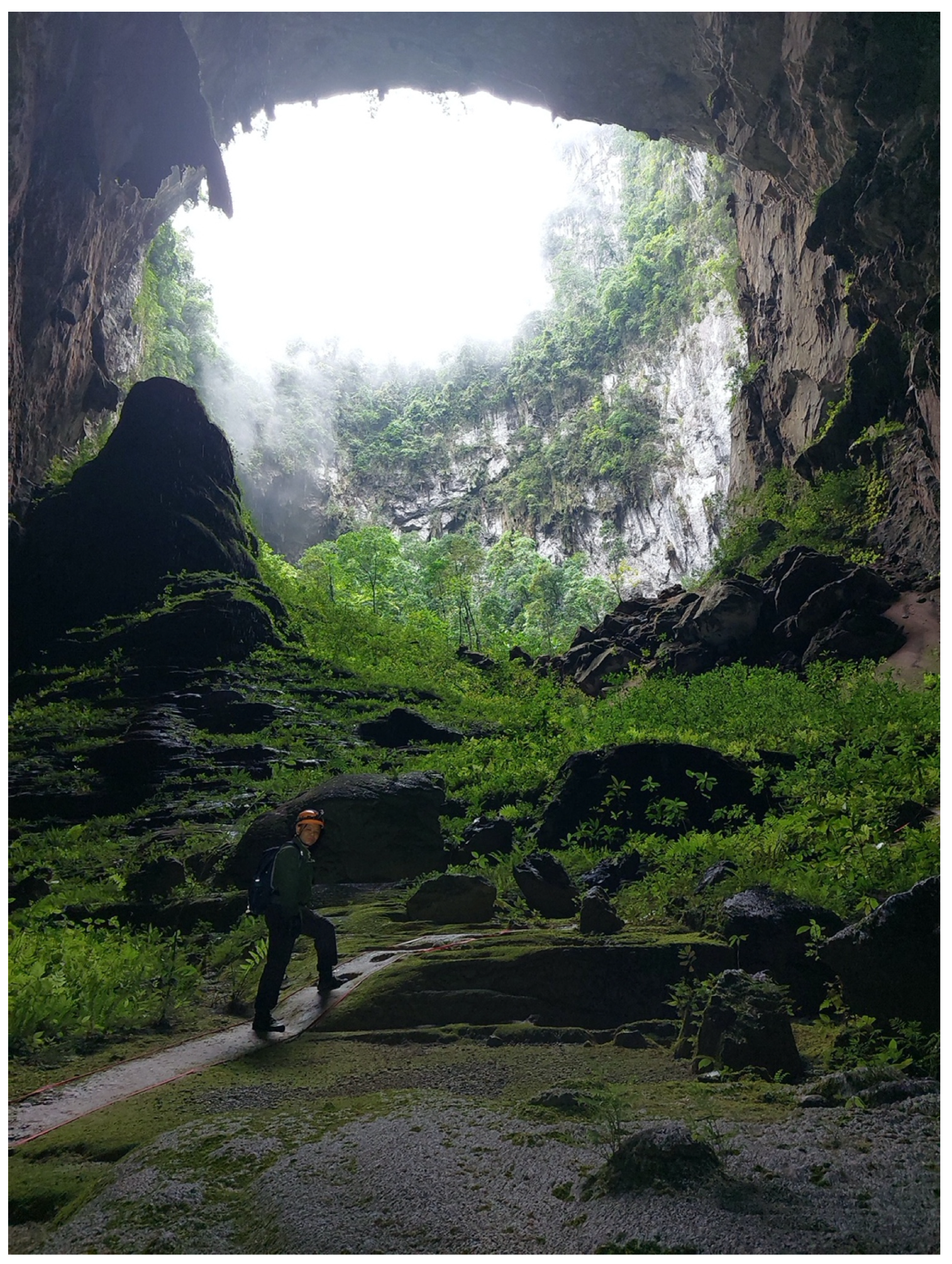 Diversity 14 00534 g008 Diversity 14 00534 g008