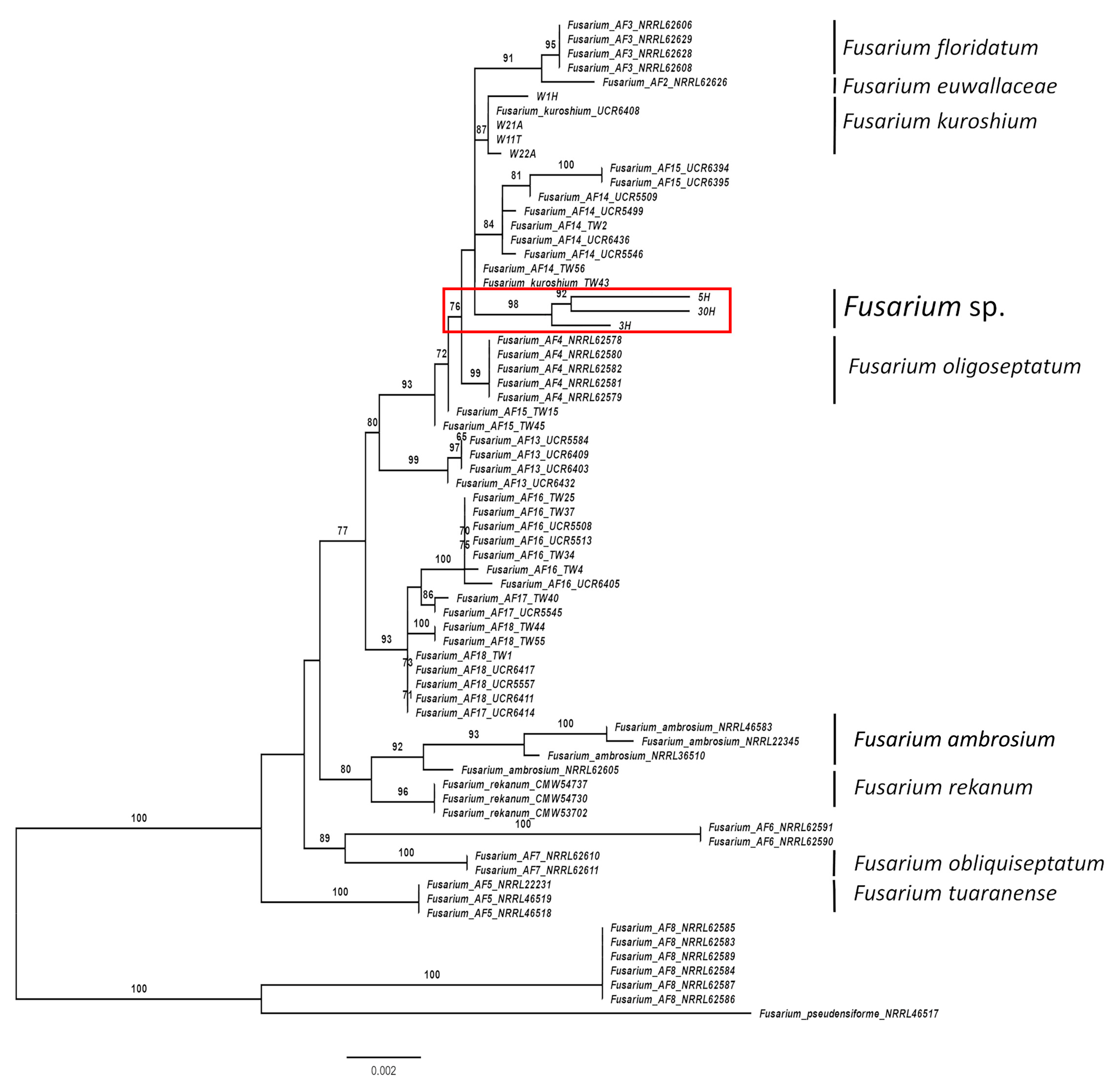 Diversity 14 00535 g003