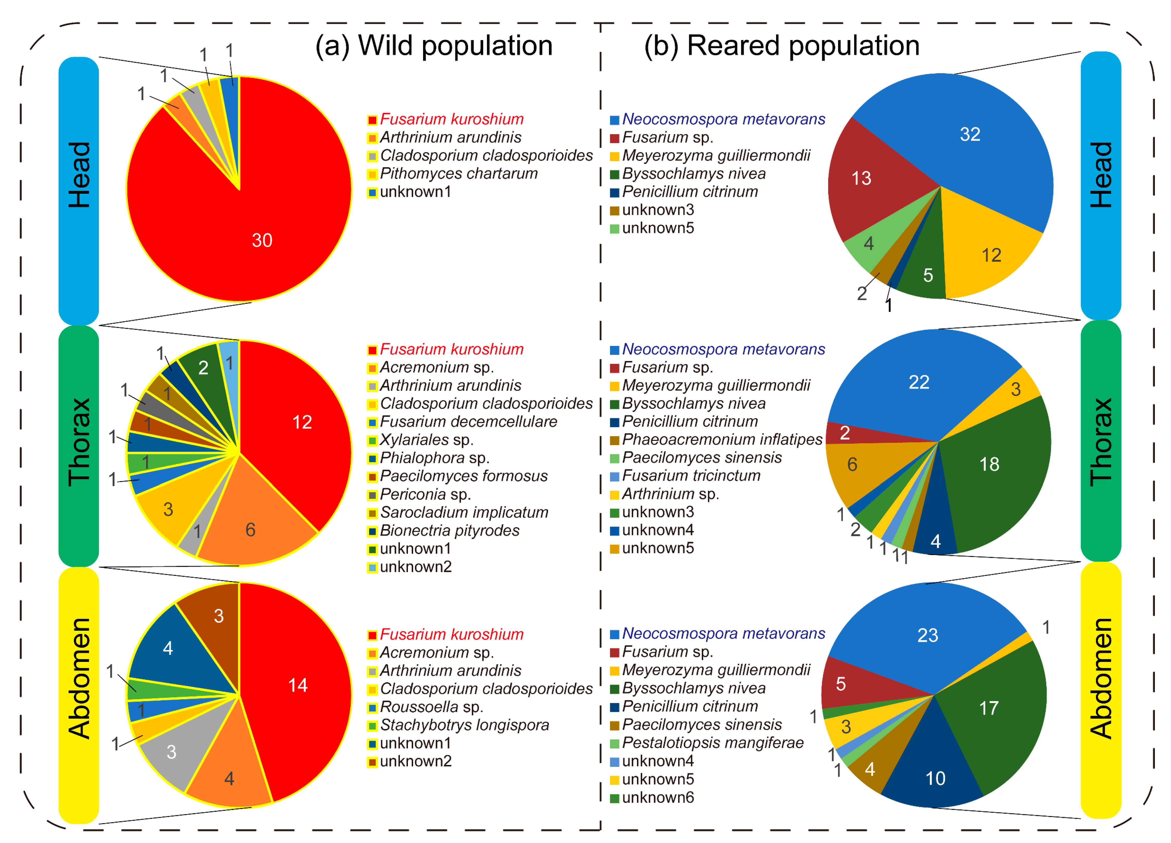 Diversity 14 00535 g005