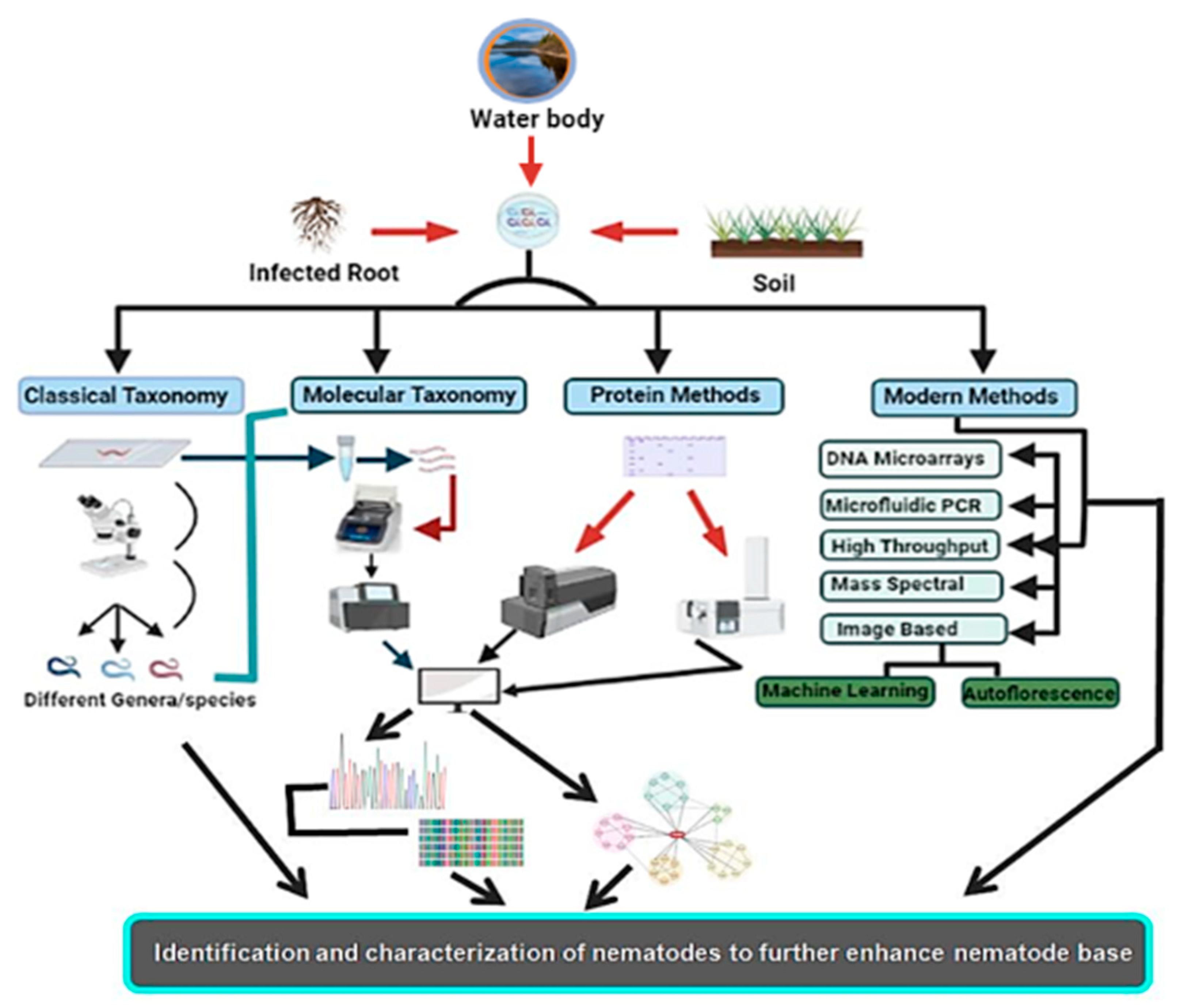 Diversity 14 00536 g004