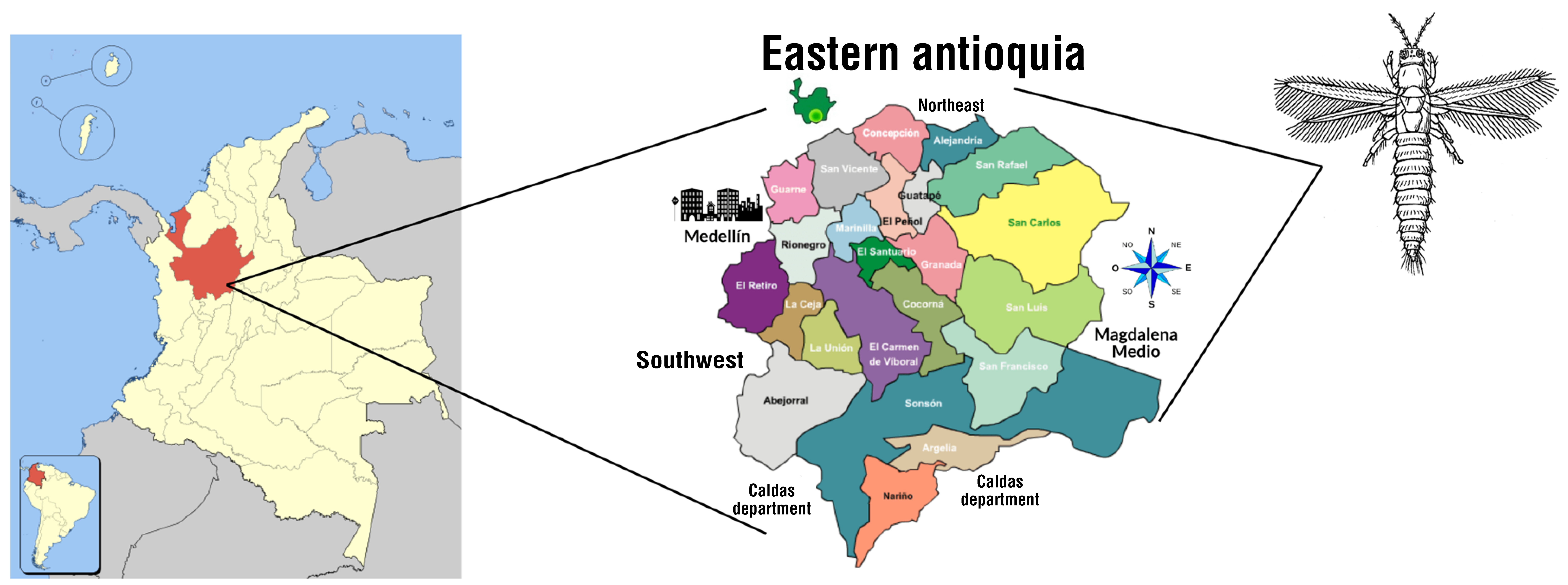 Diversity 14 00540 g001