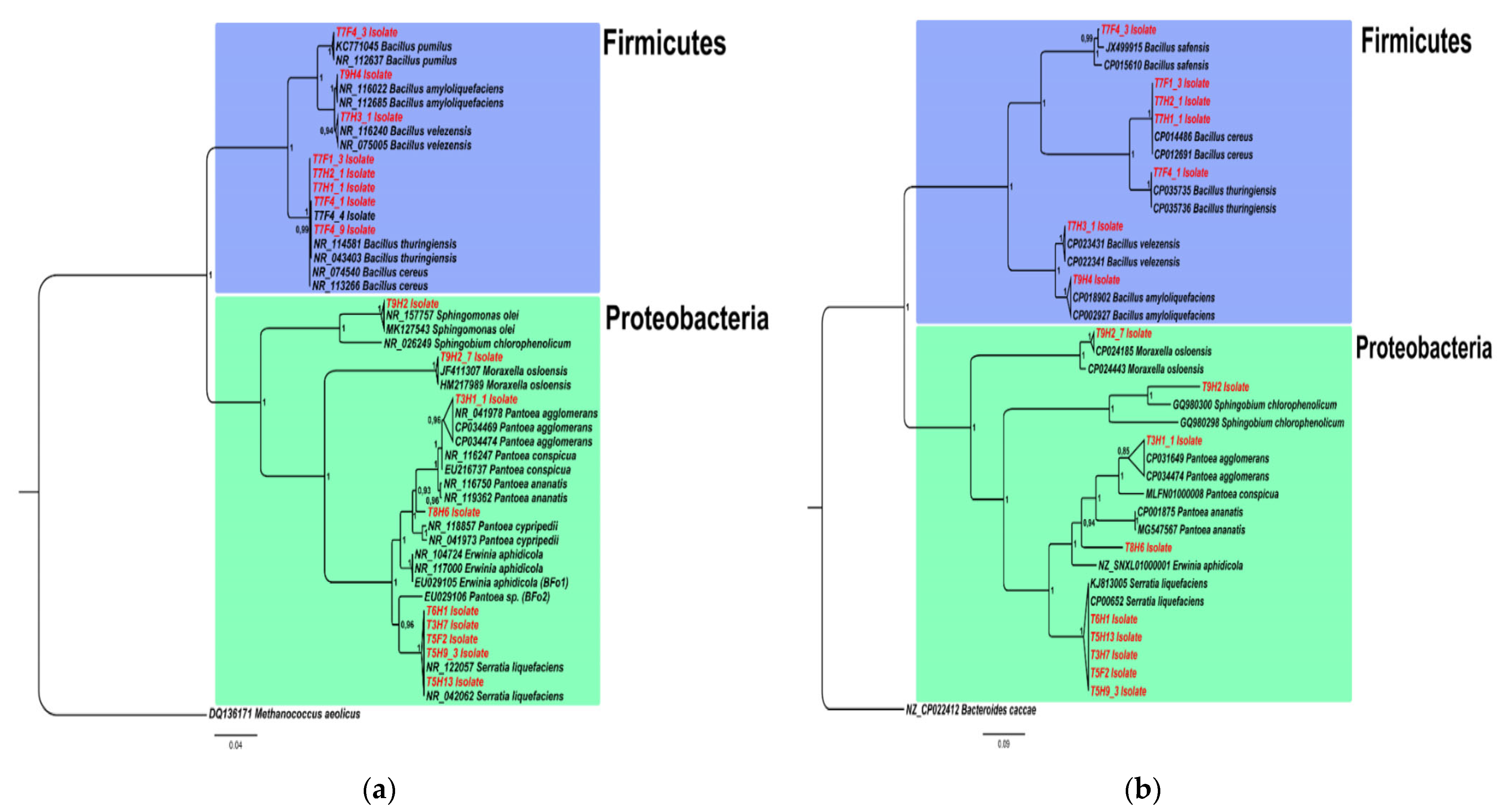 Diversity 14 00540 g002