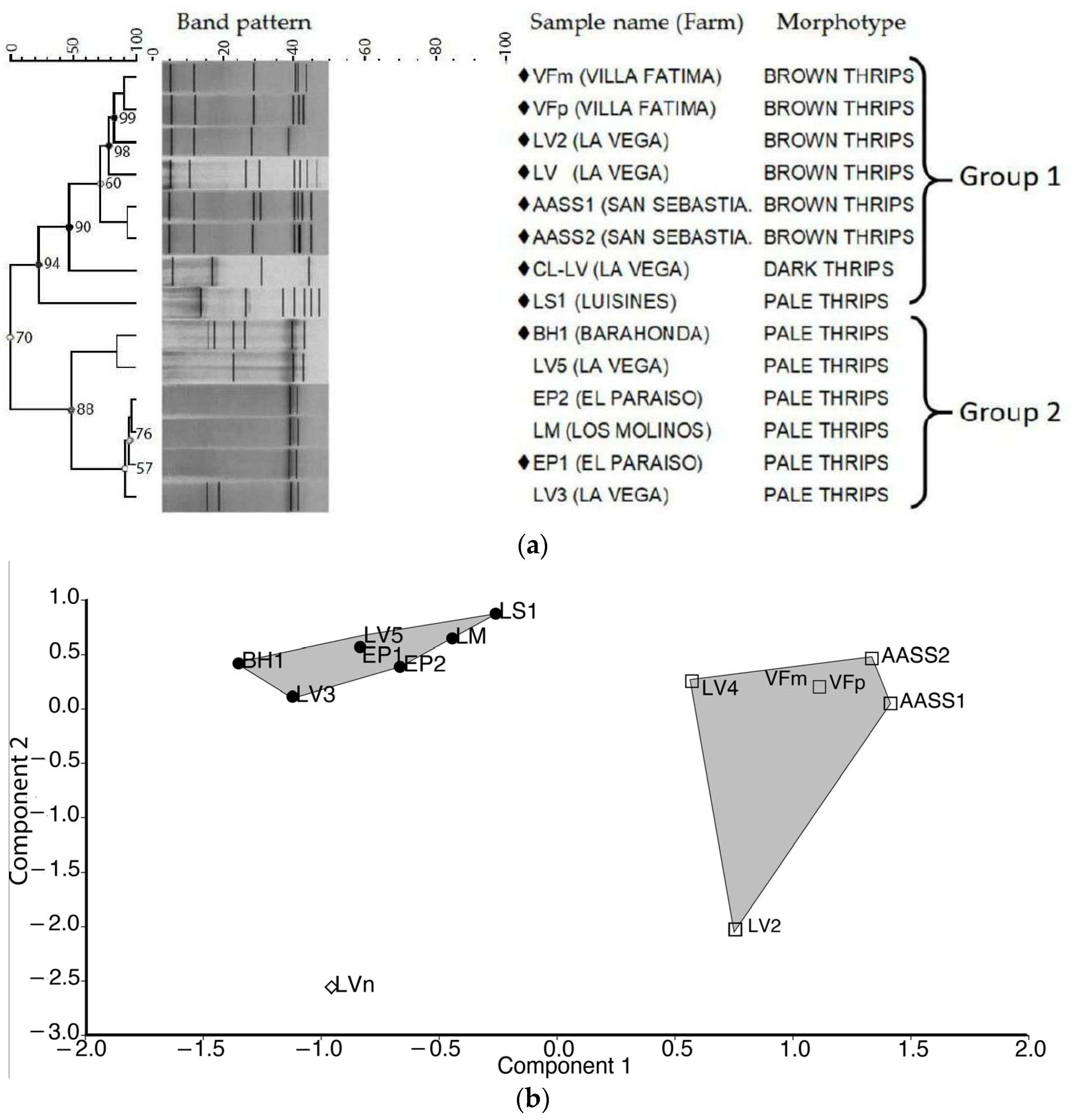 Diversity 14 00540 g003