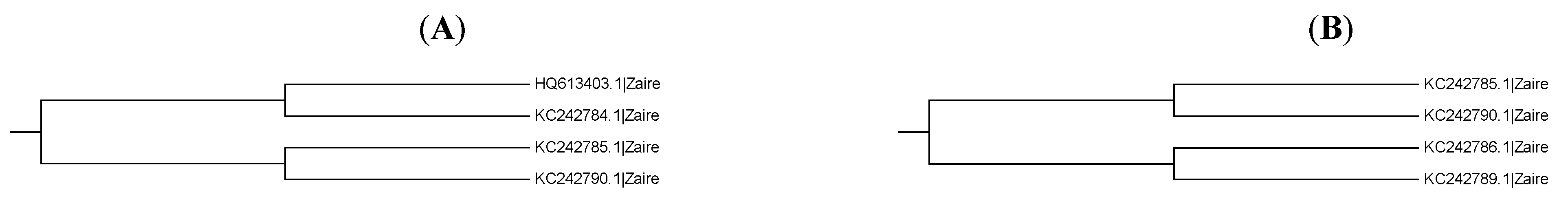 Diversity 14 00543 g010