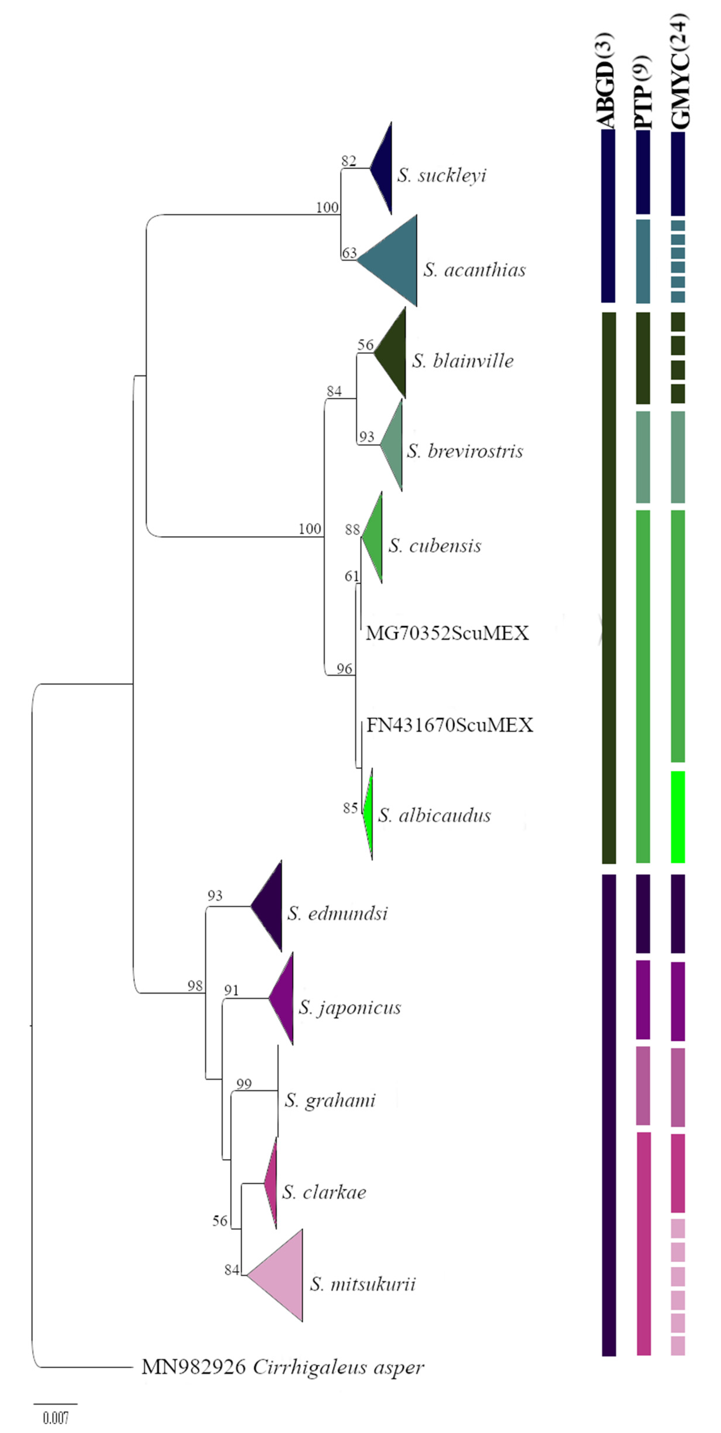 Diversity 14 00544 g001