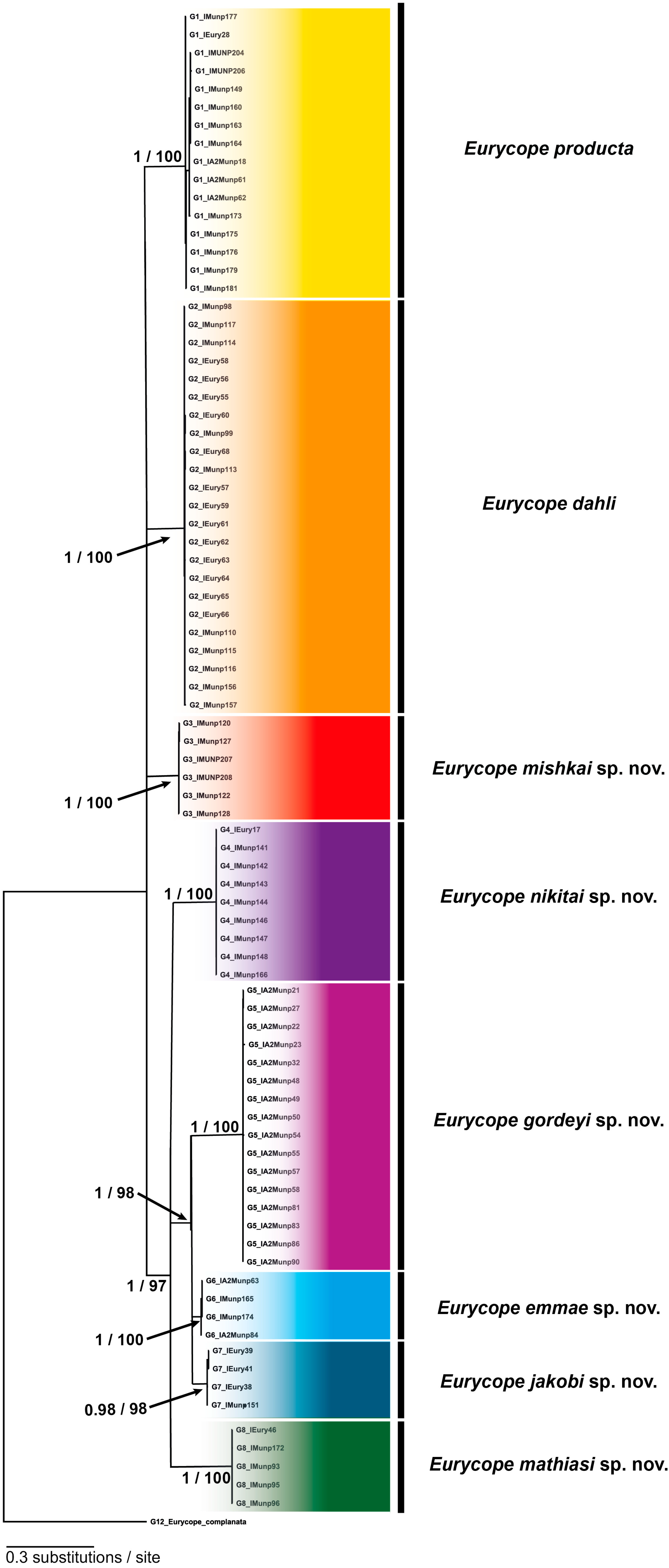 Diversity 14 00545 g002 550