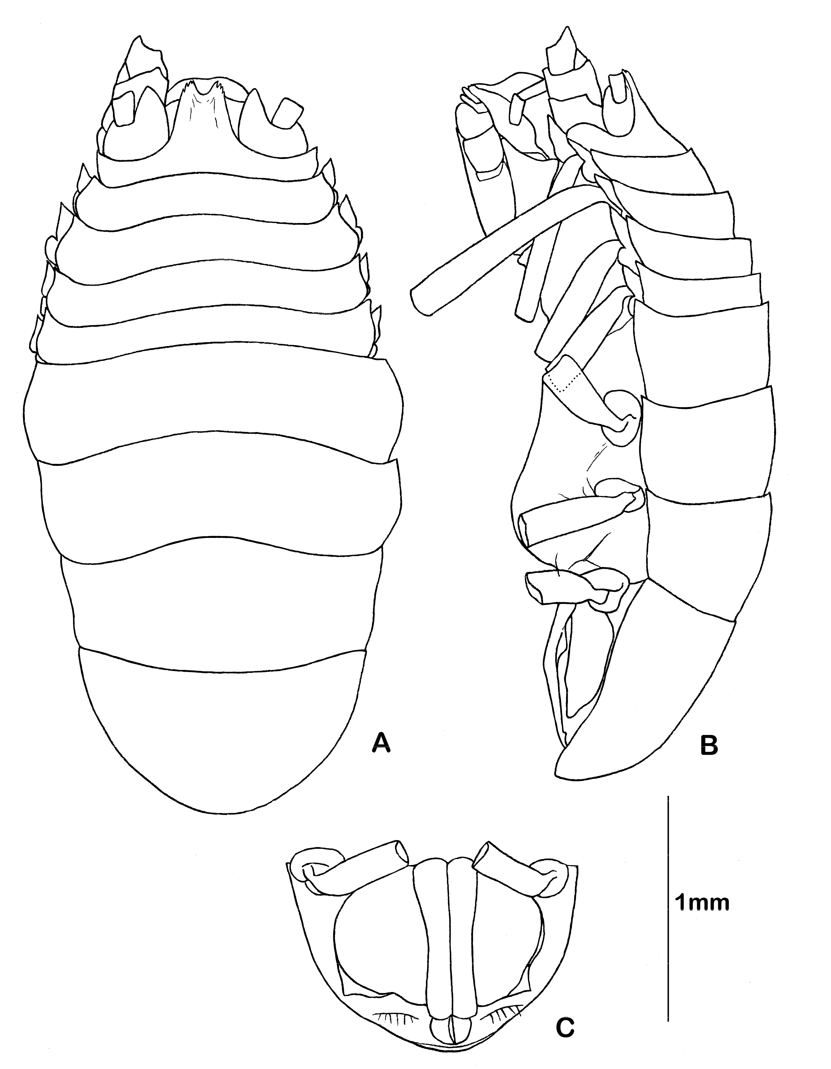 Diversity 14 00545 g003 550