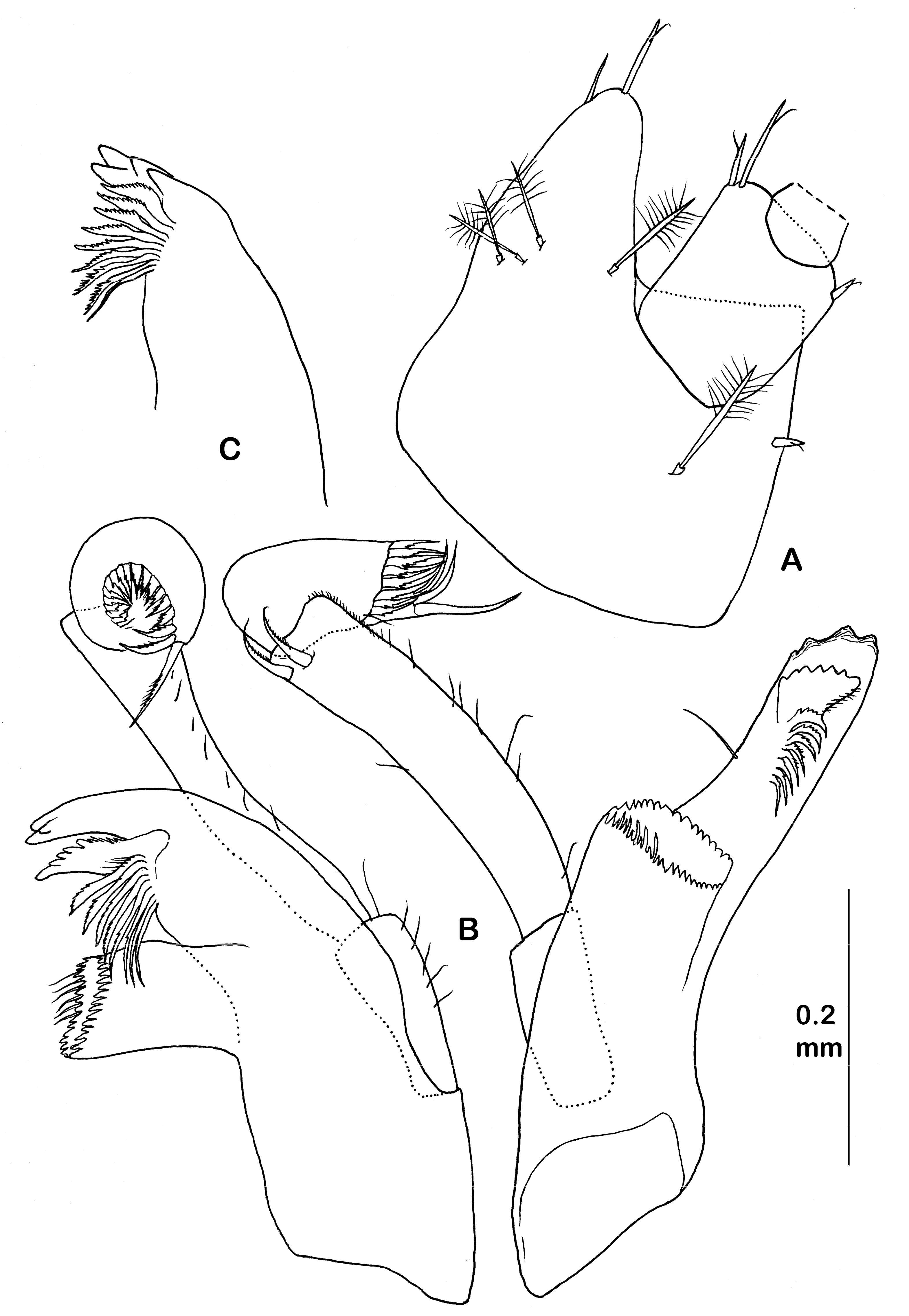Diversity 14 00545 g004 550