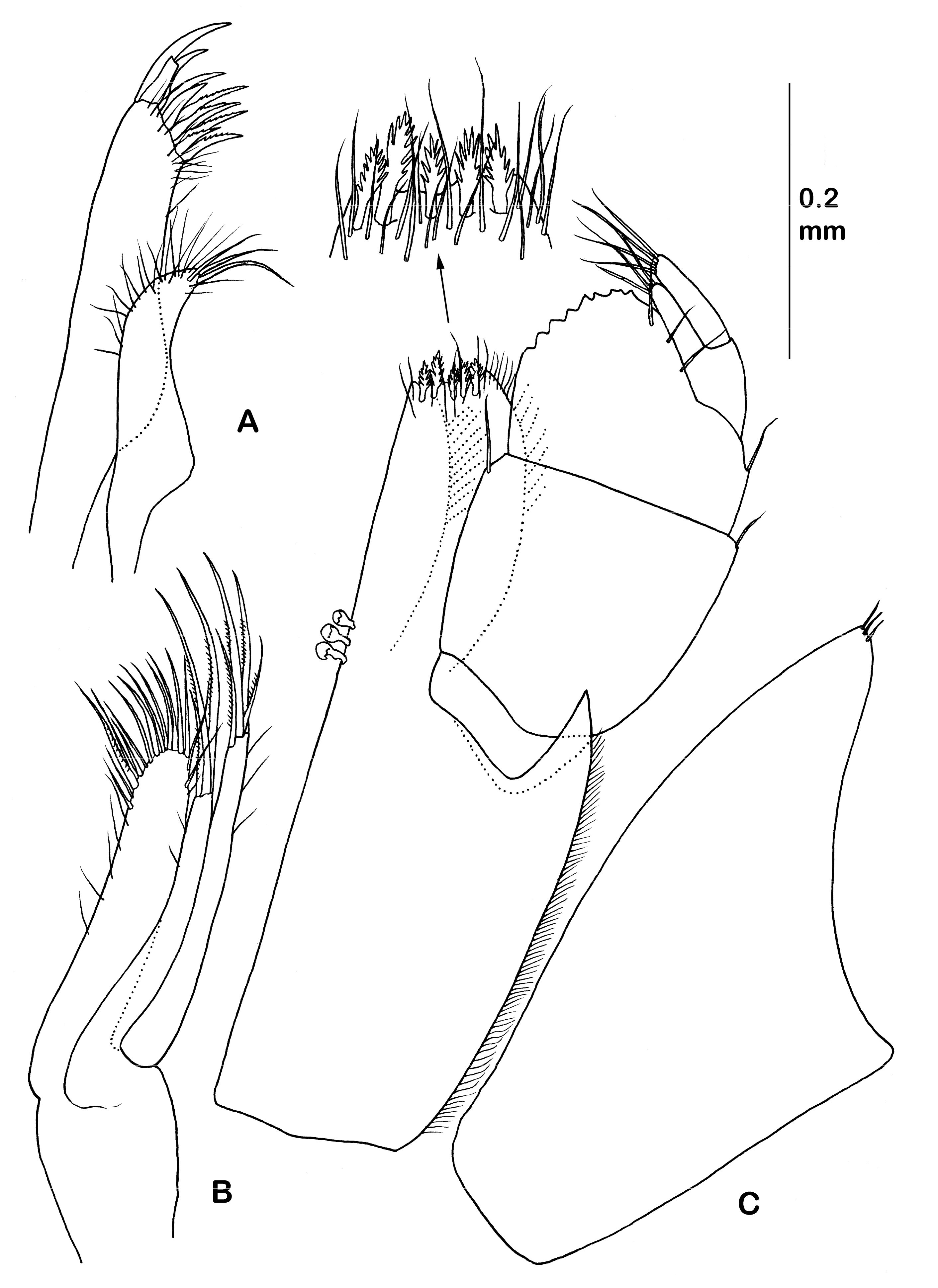 Diversity 14 00545 g005 550