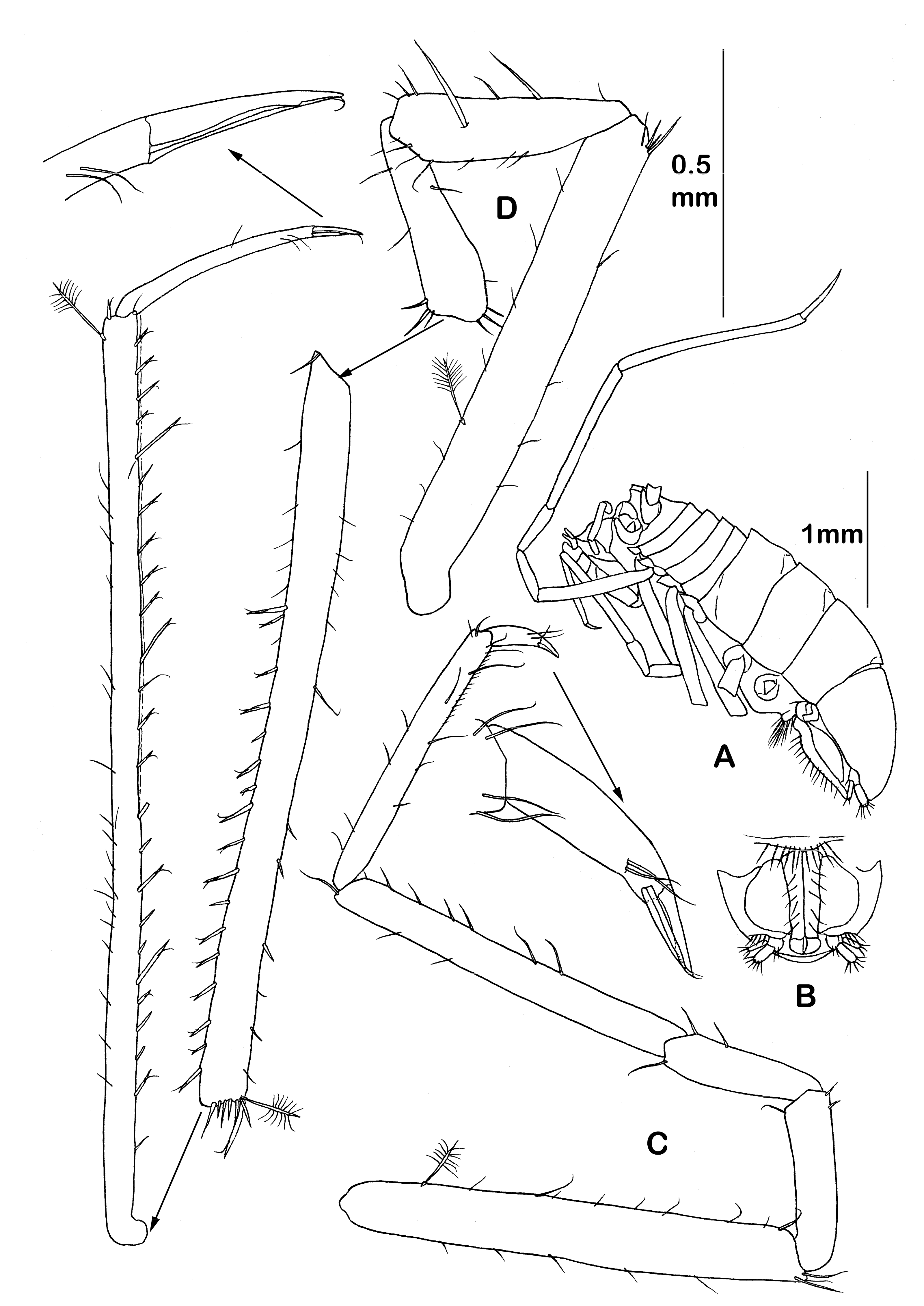 Diversity 14 00545 g006 550