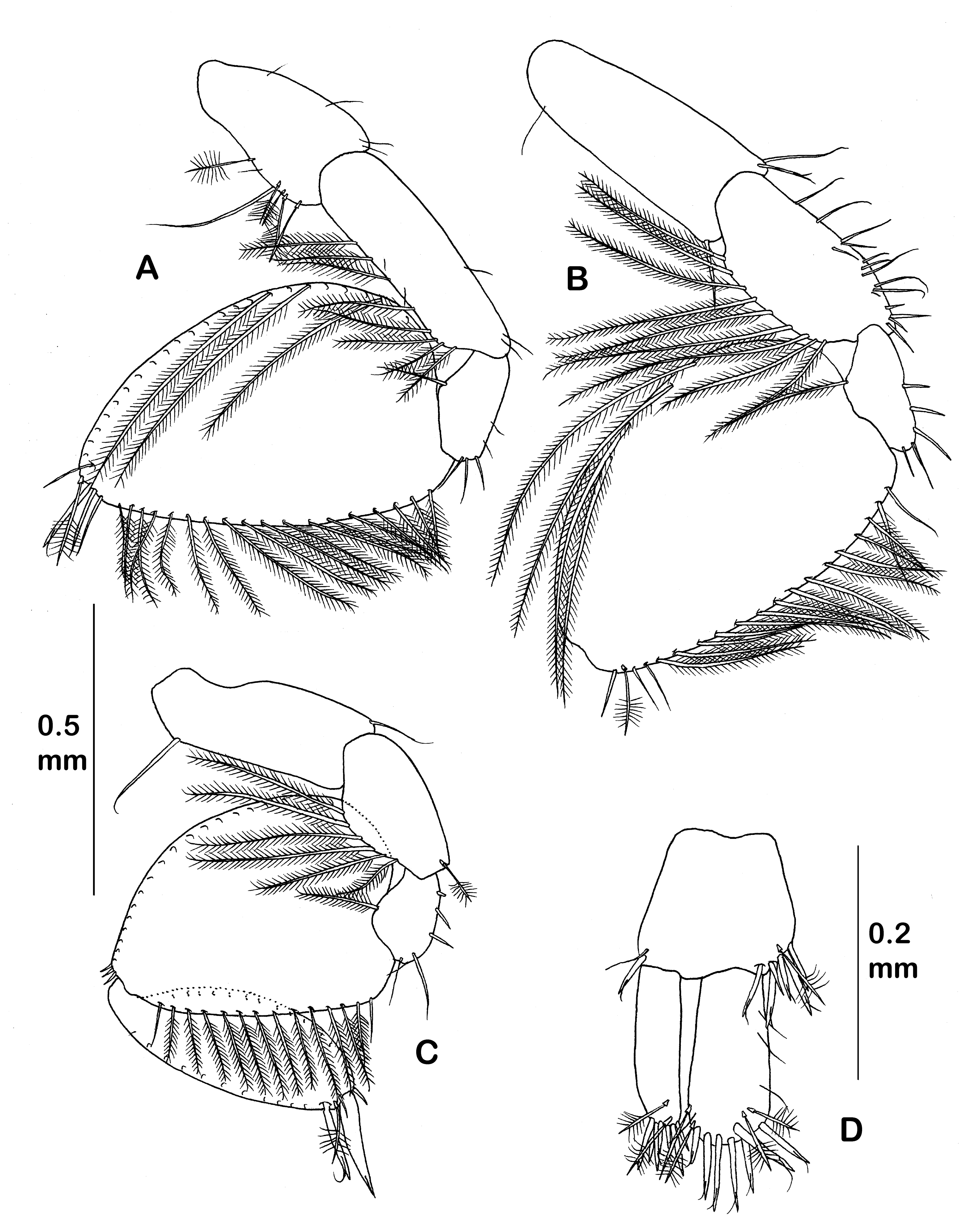 Diversity 14 00545 g007 550
