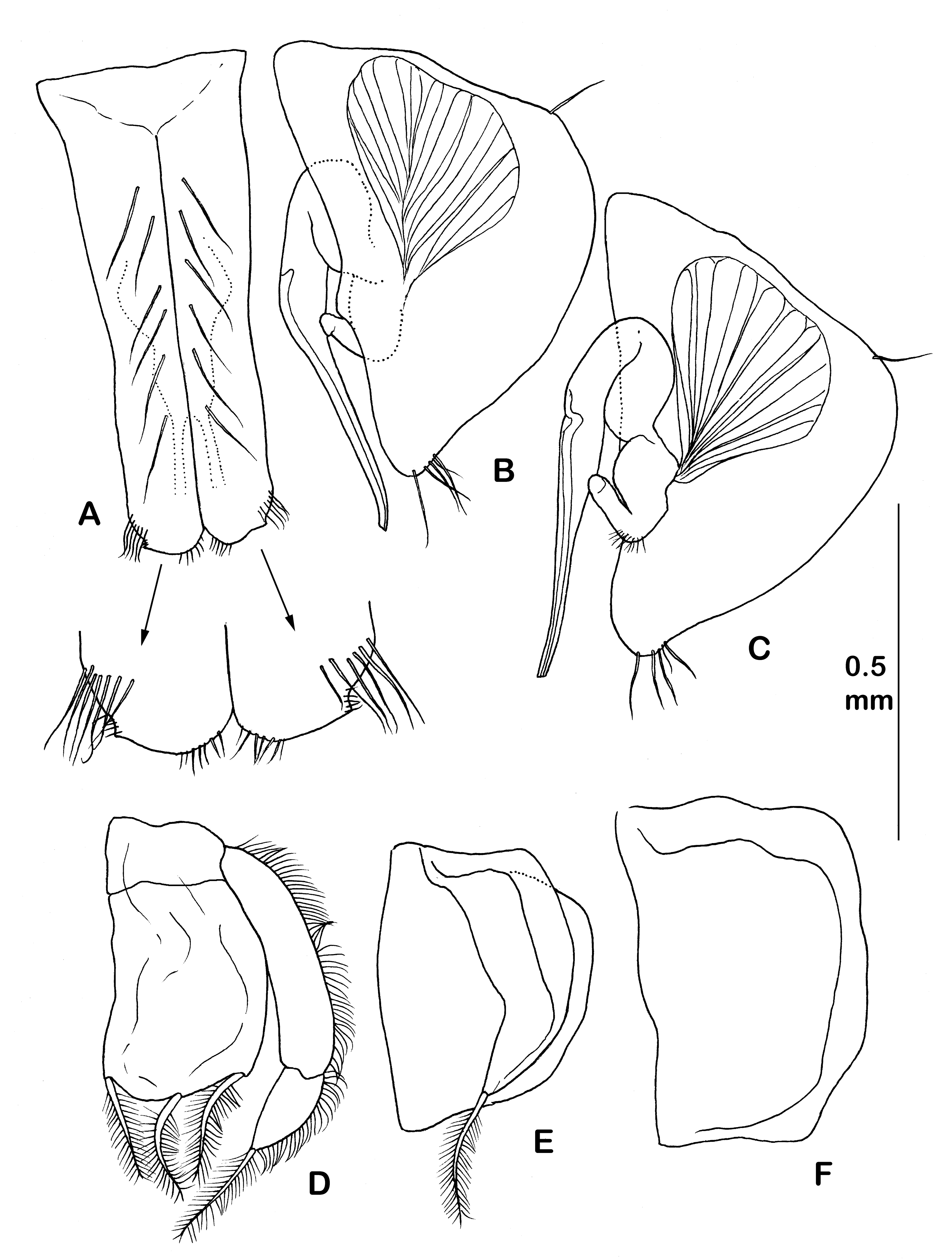 Diversity 14 00545 g008 550