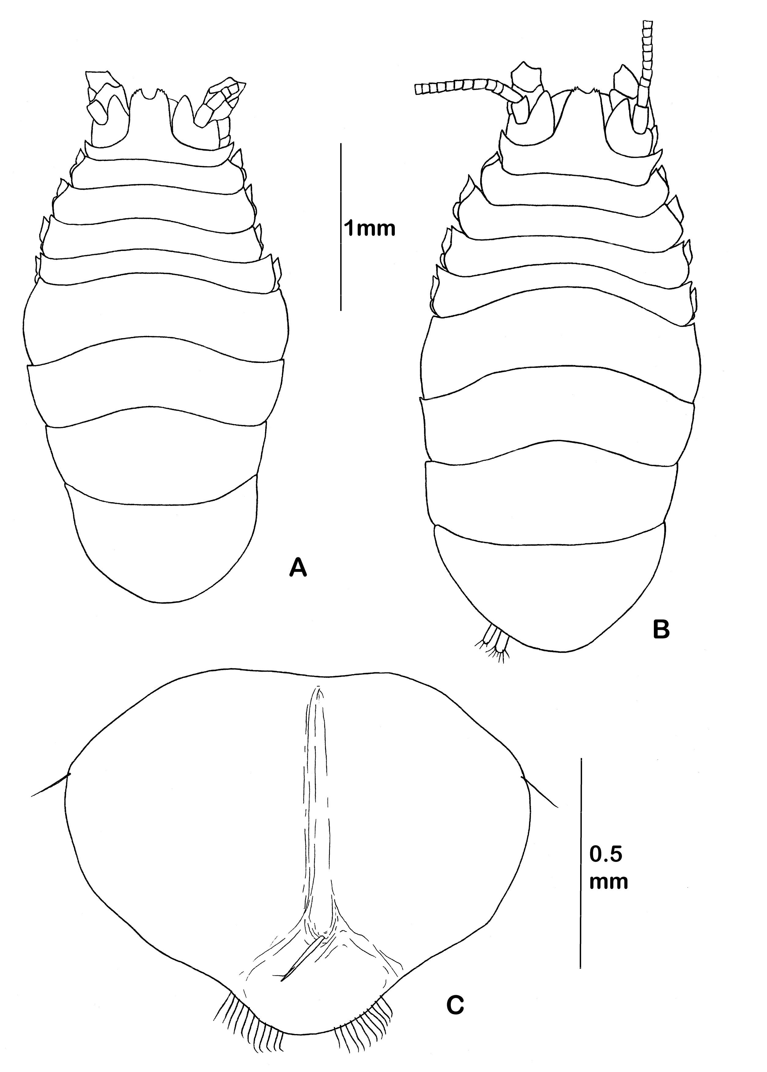 Diversity 14 00545 g009 550