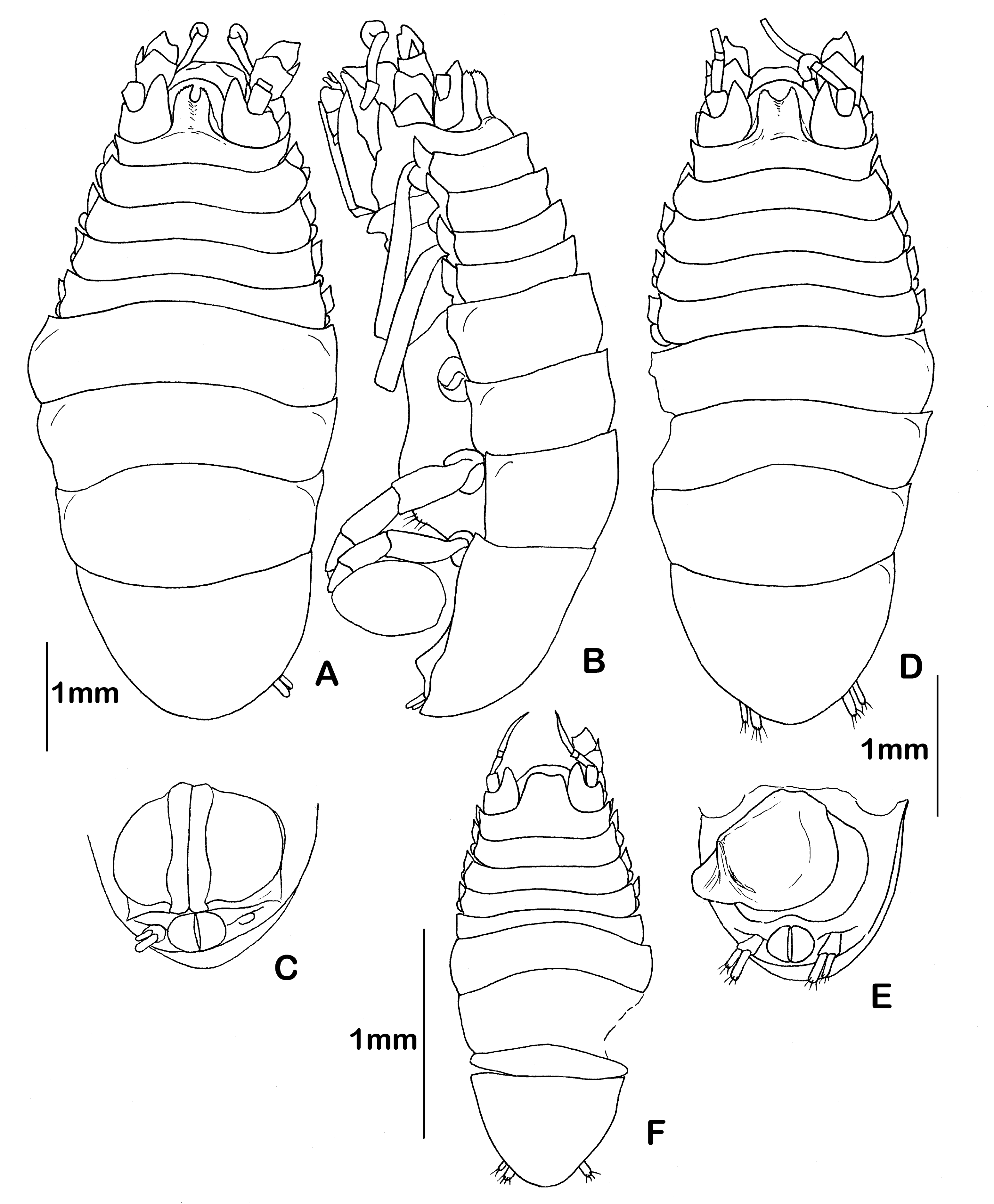 Diversity 14 00545 g010 550