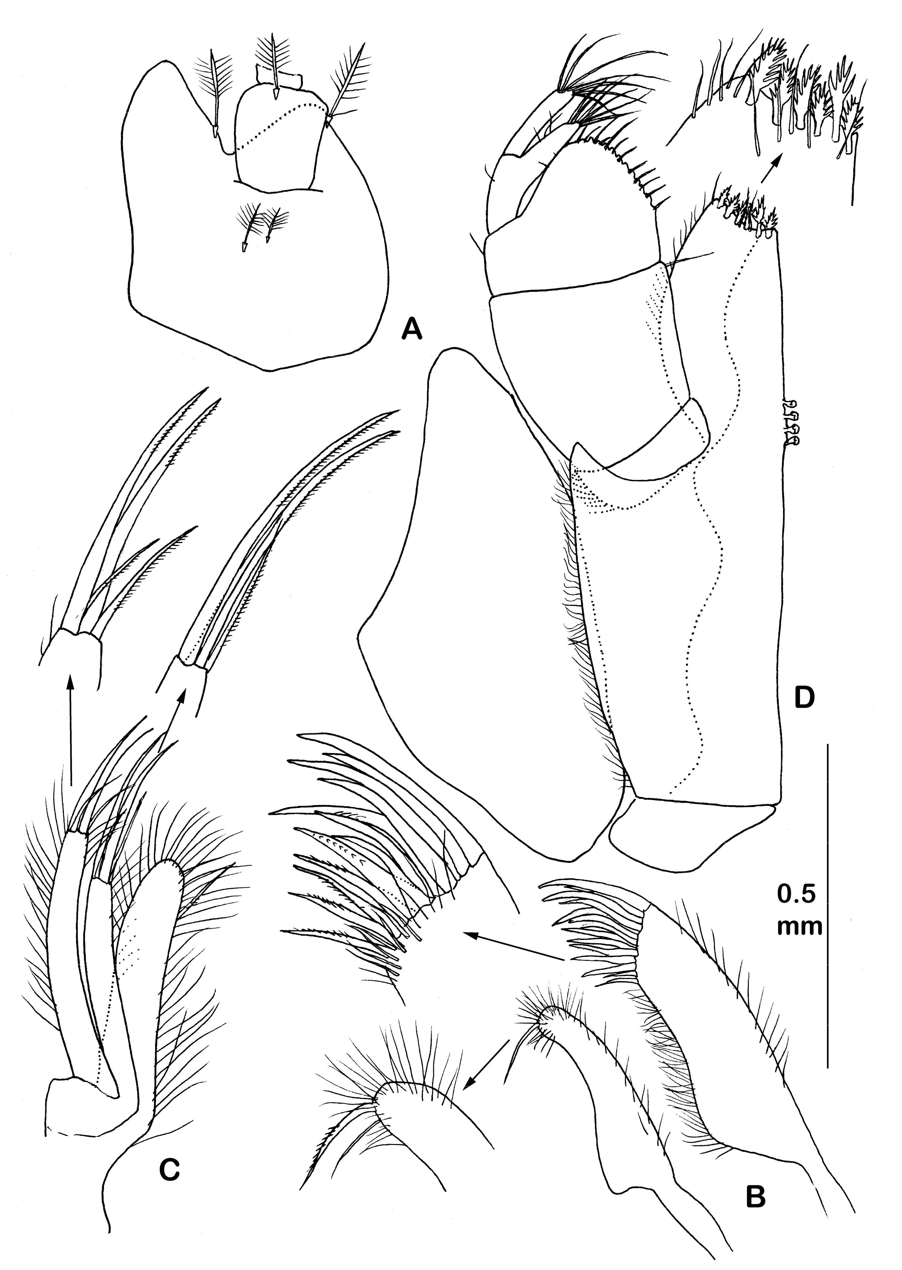 Diversity 14 00545 g011 550