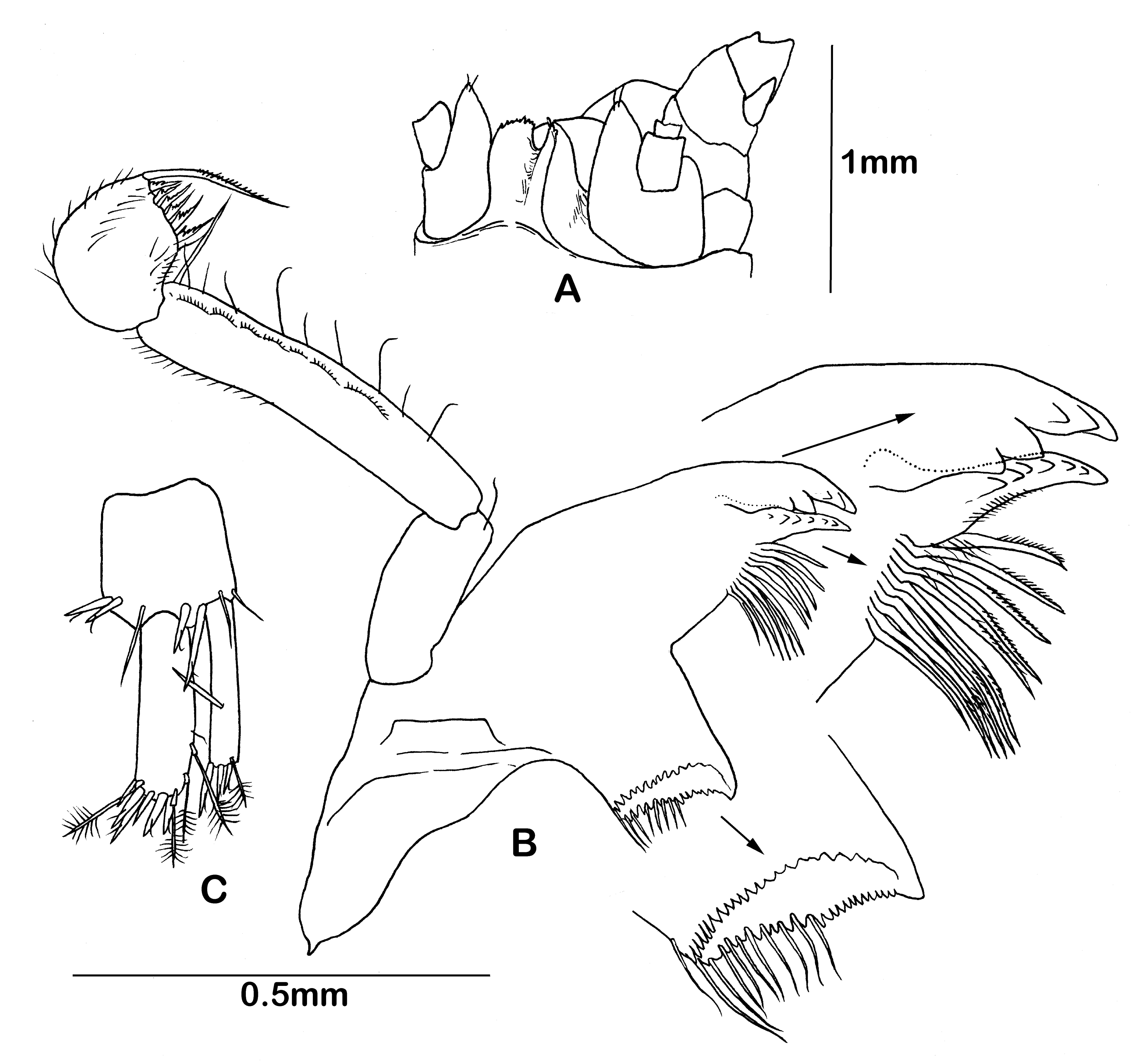 Diversity 14 00545 g012 550