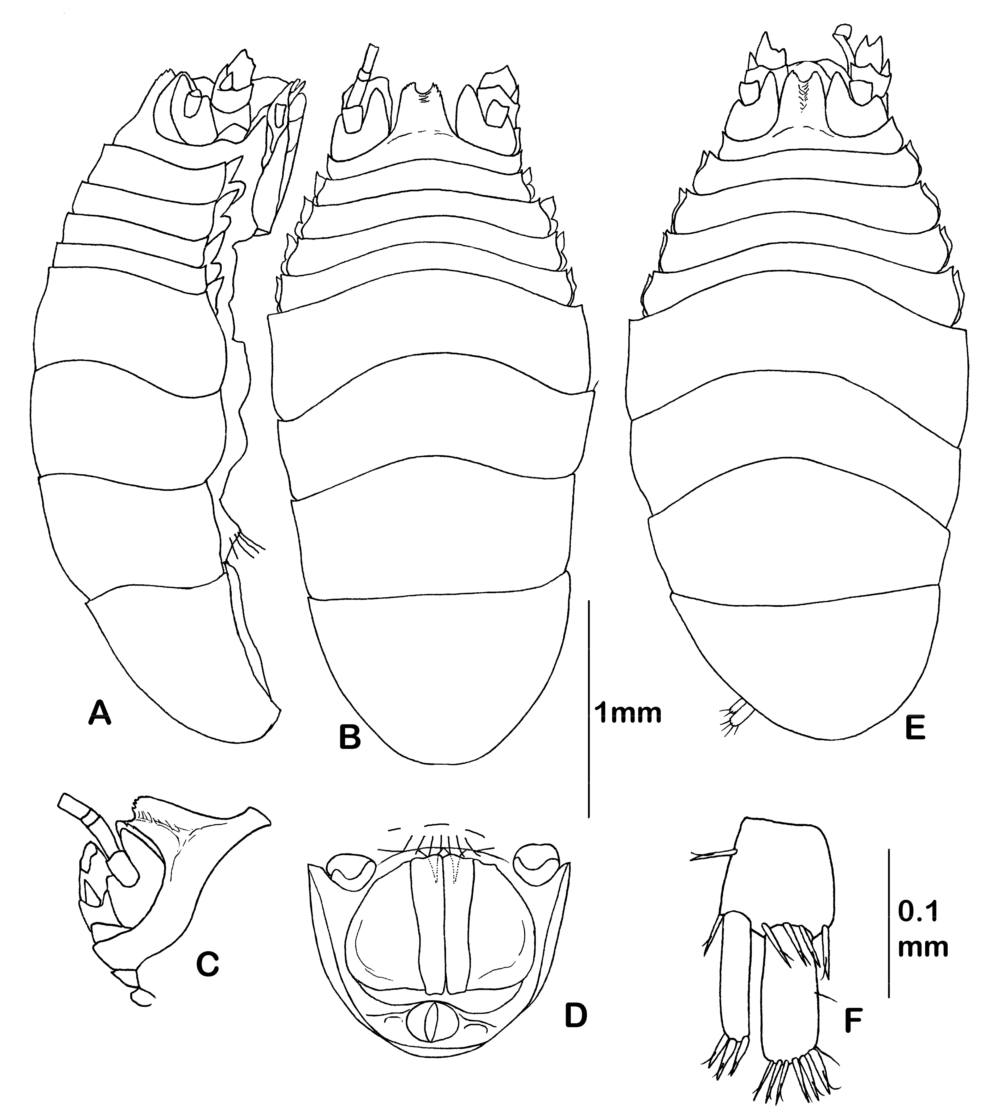 Diversity 14 00545 g014 550