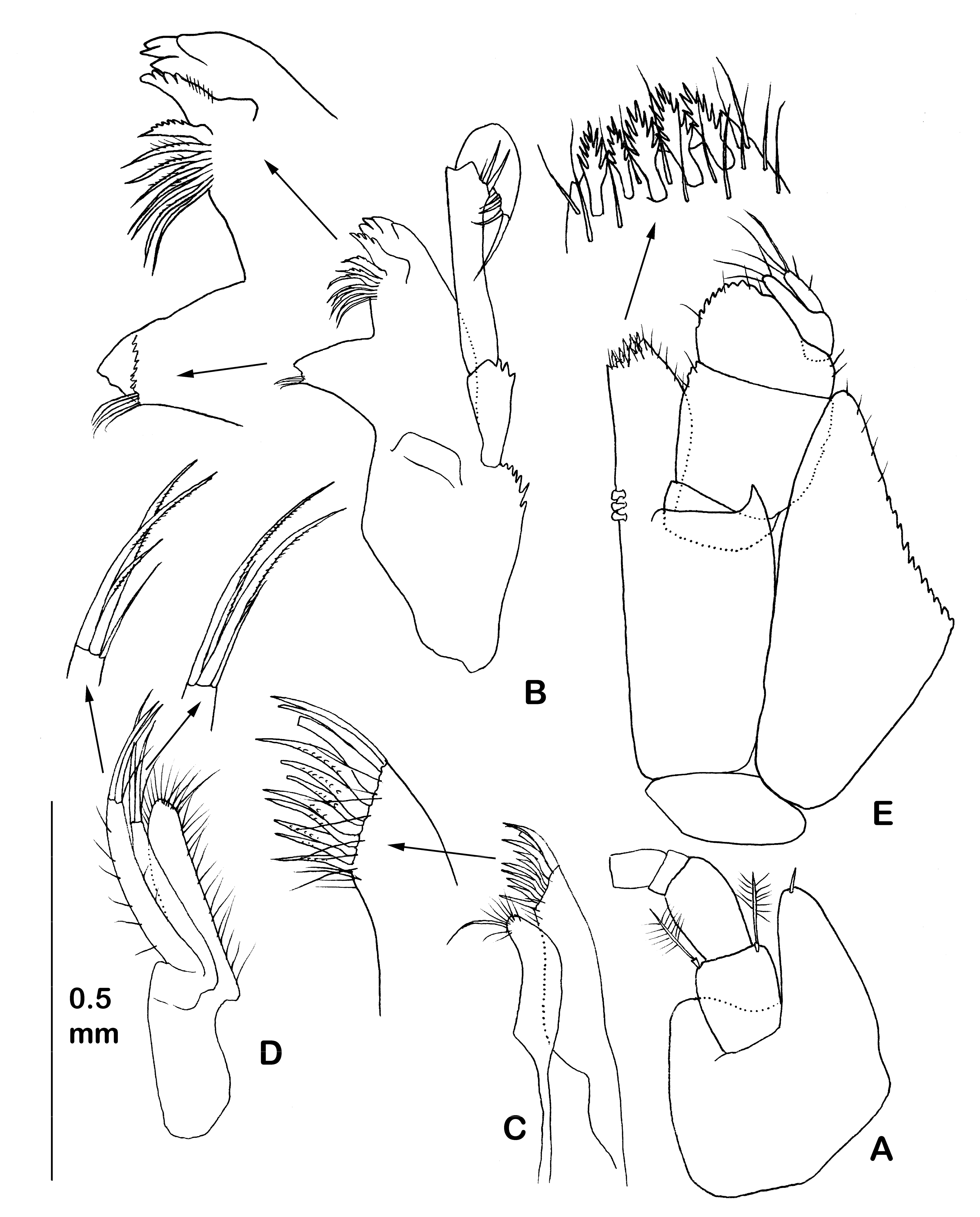 Diversity 14 00545 g015 550