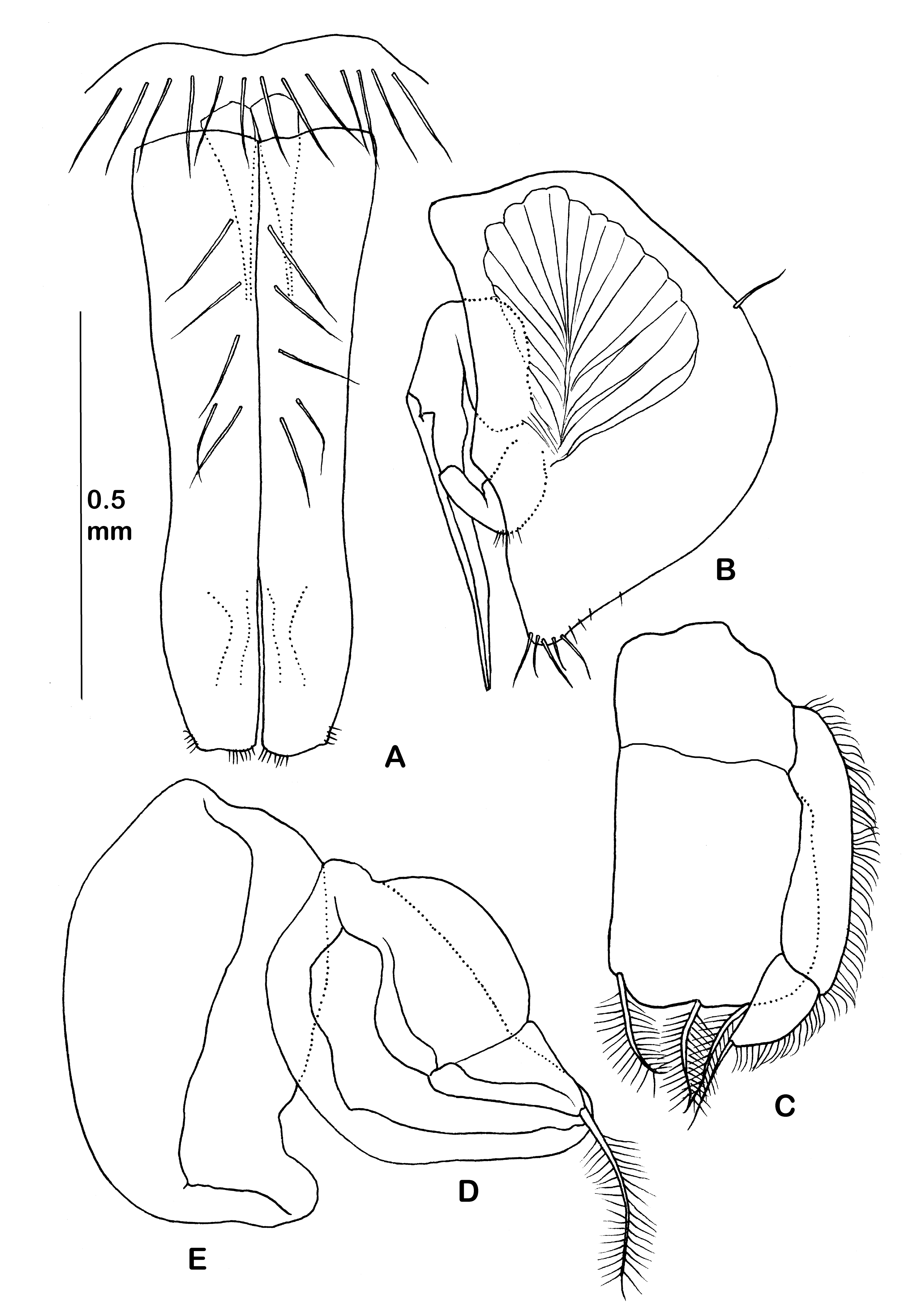 Diversity 14 00545 g016 550