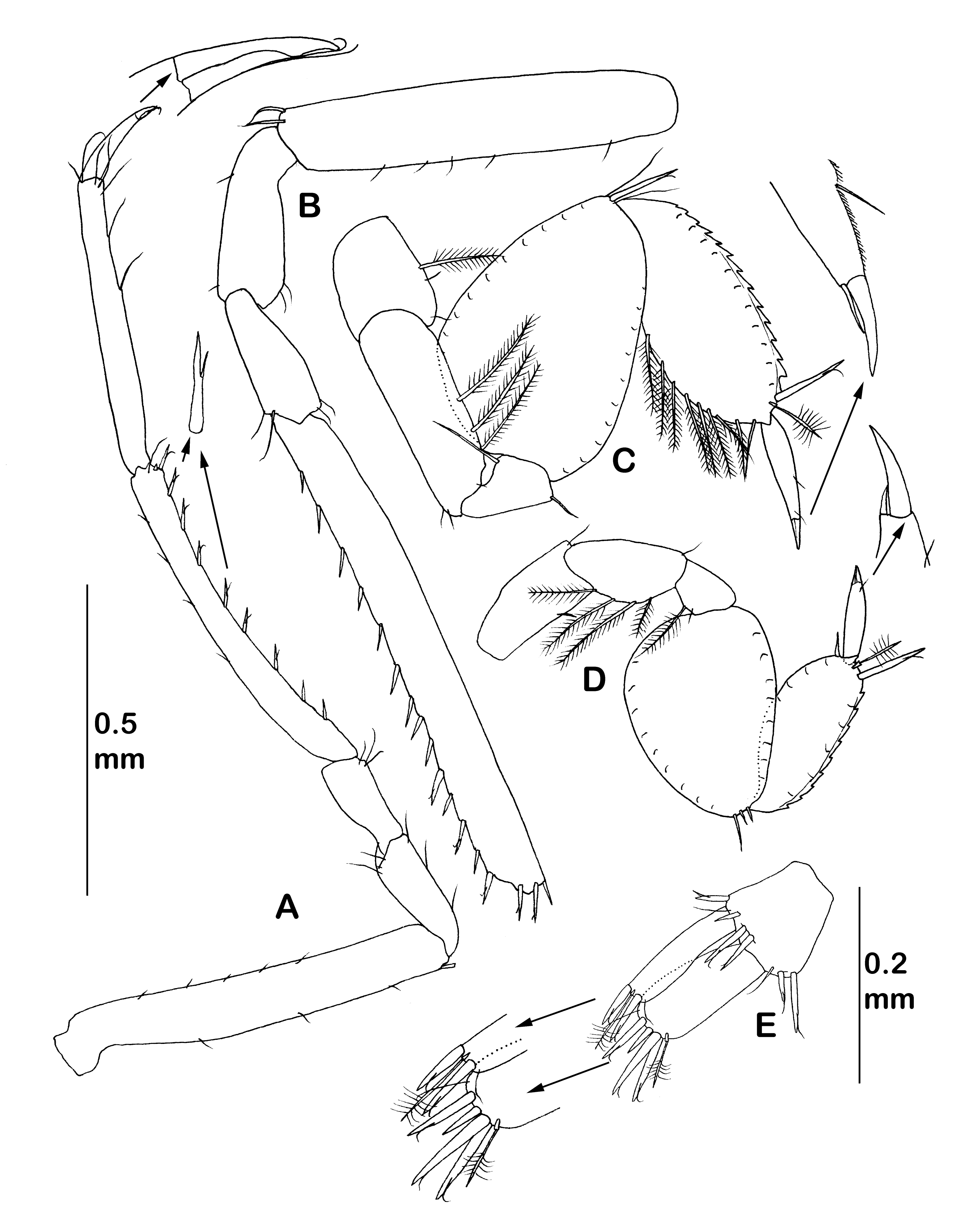 Diversity 14 00545 g019 550