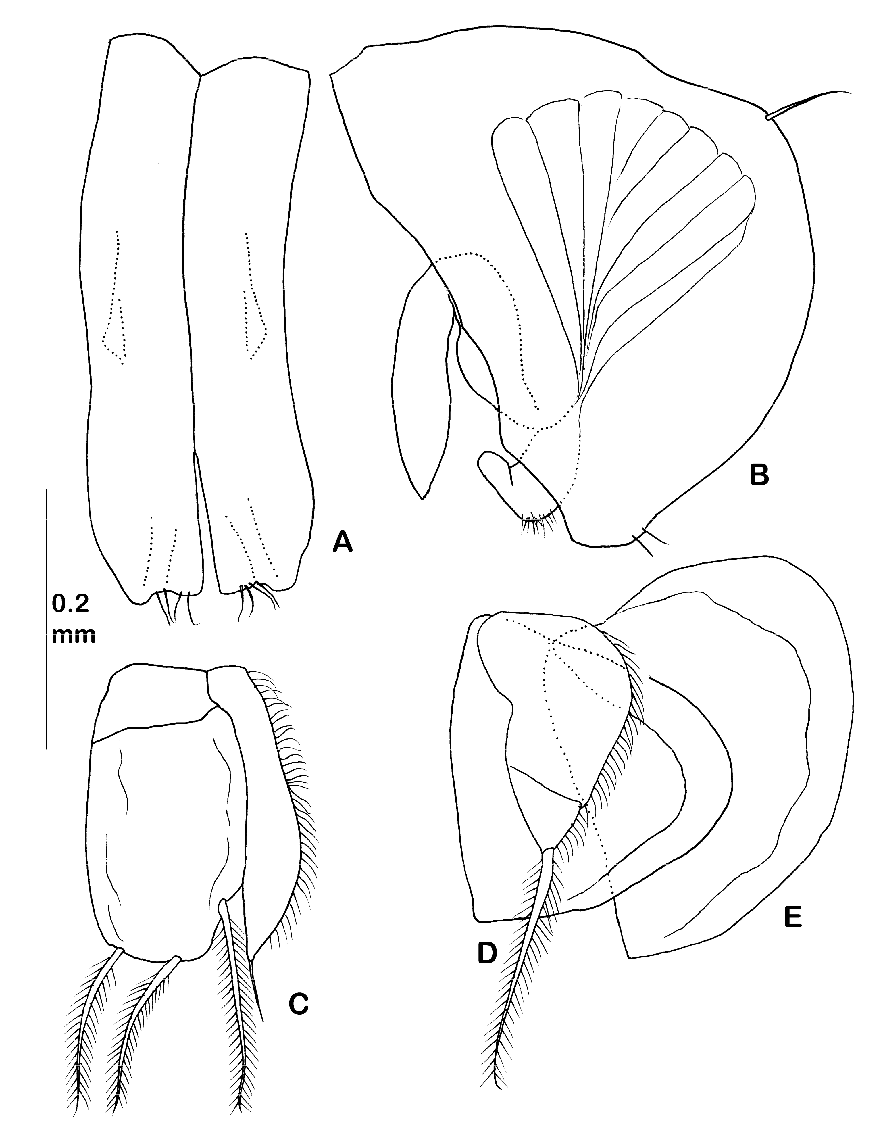 Diversity 14 00545 g020 550