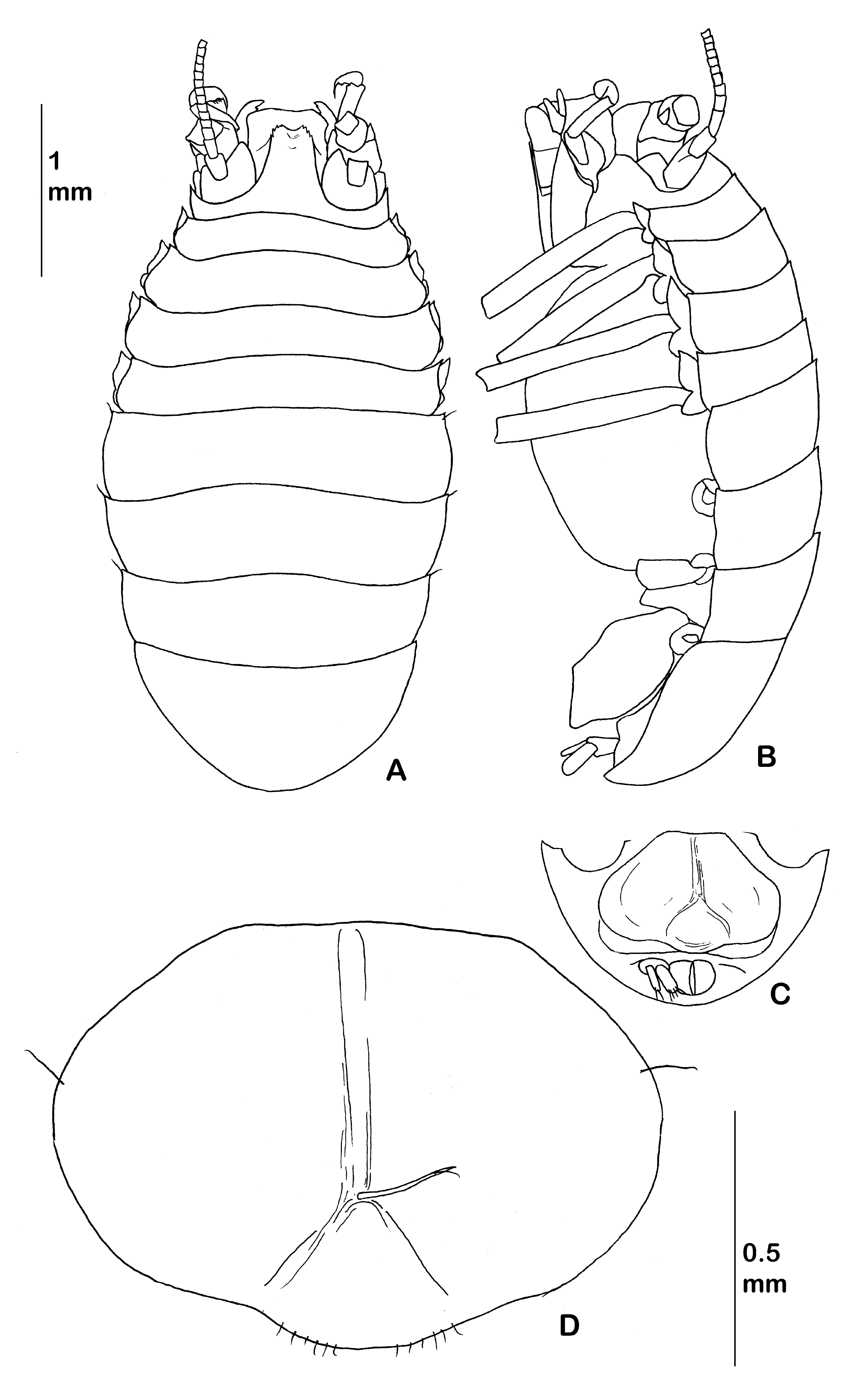 Diversity 14 00545 g021 550