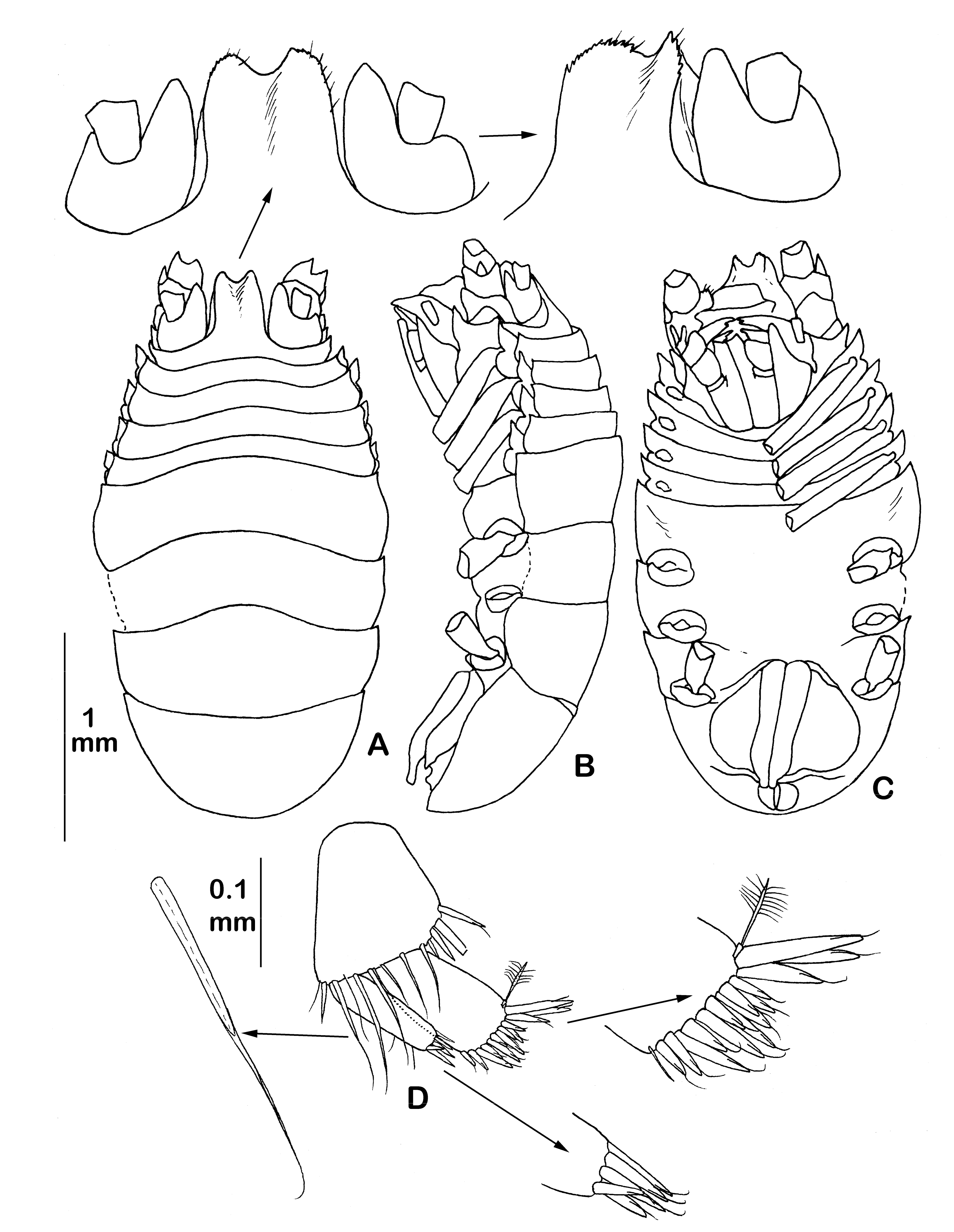 Diversity 14 00545 g022 550