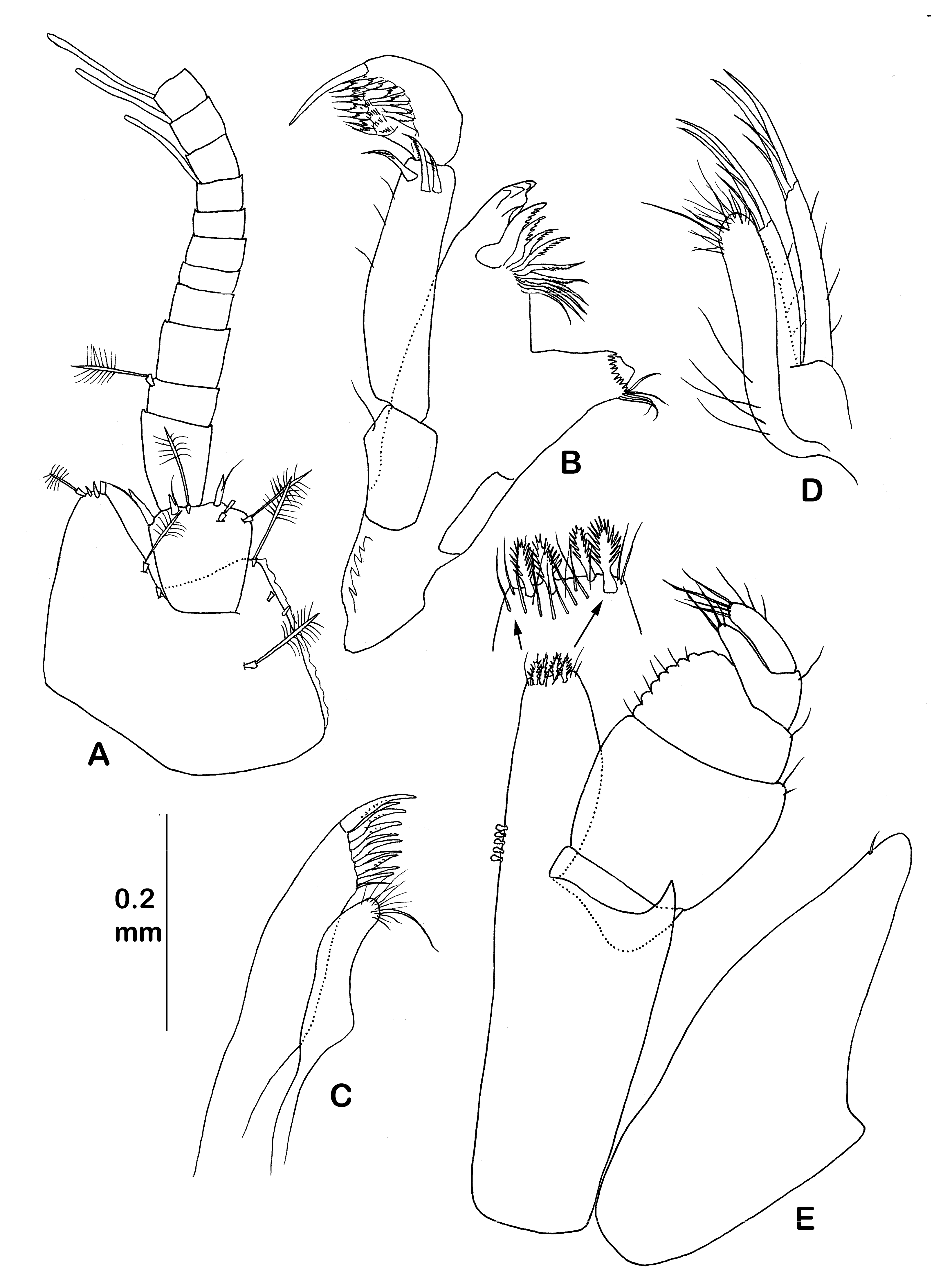 Diversity 14 00545 g023 550