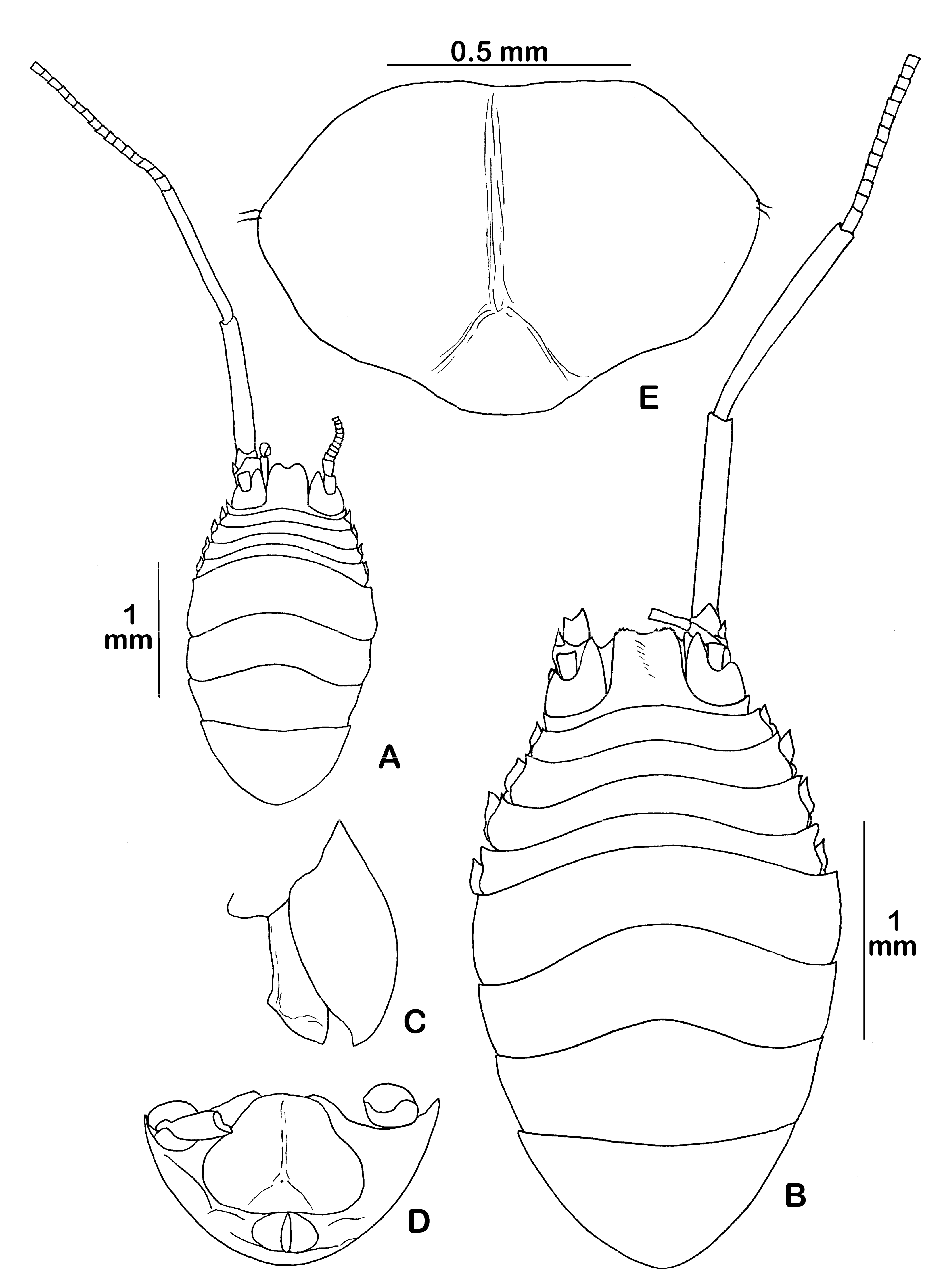 Diversity 14 00545 g025 550