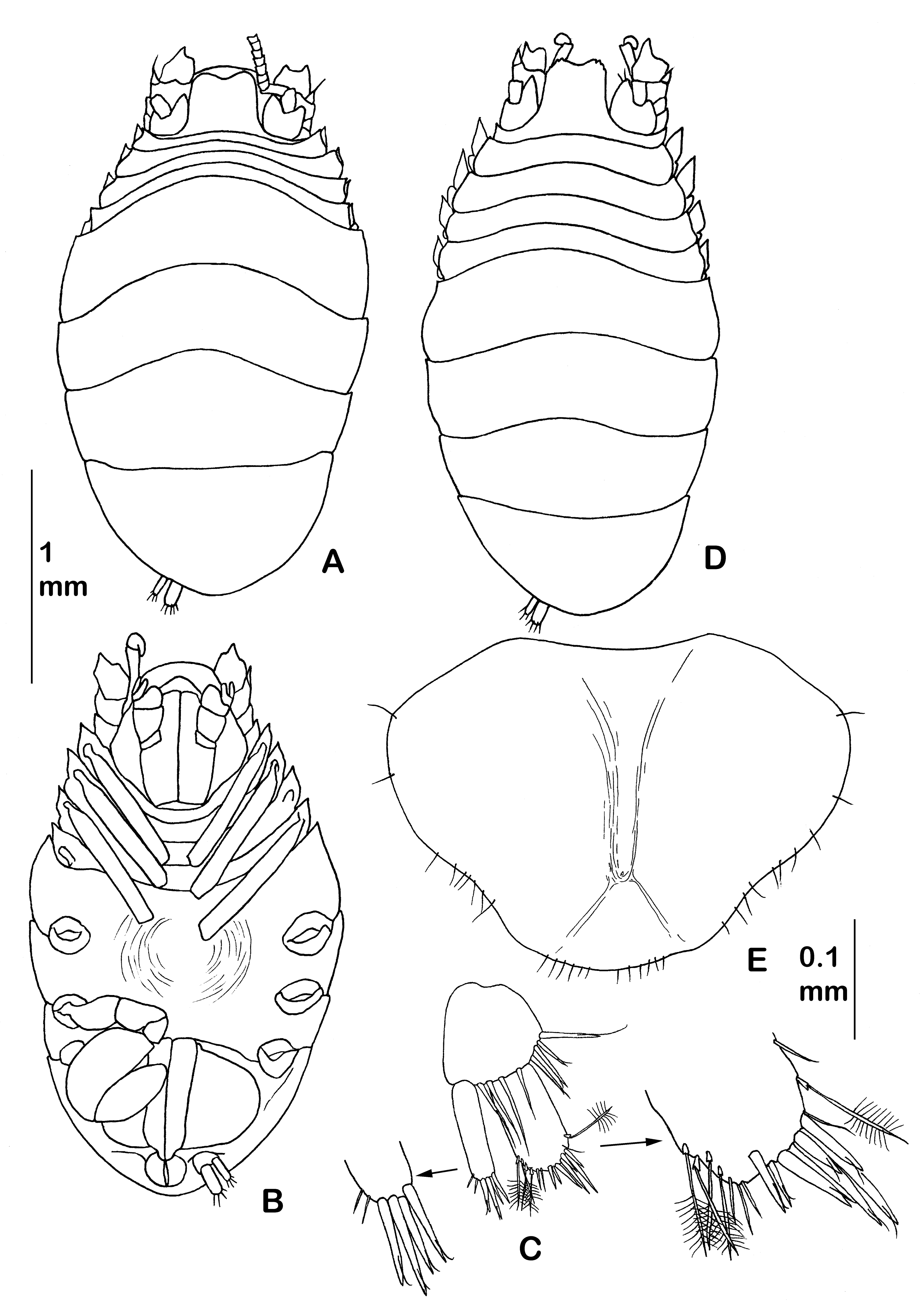 Diversity 14 00545 g026 550