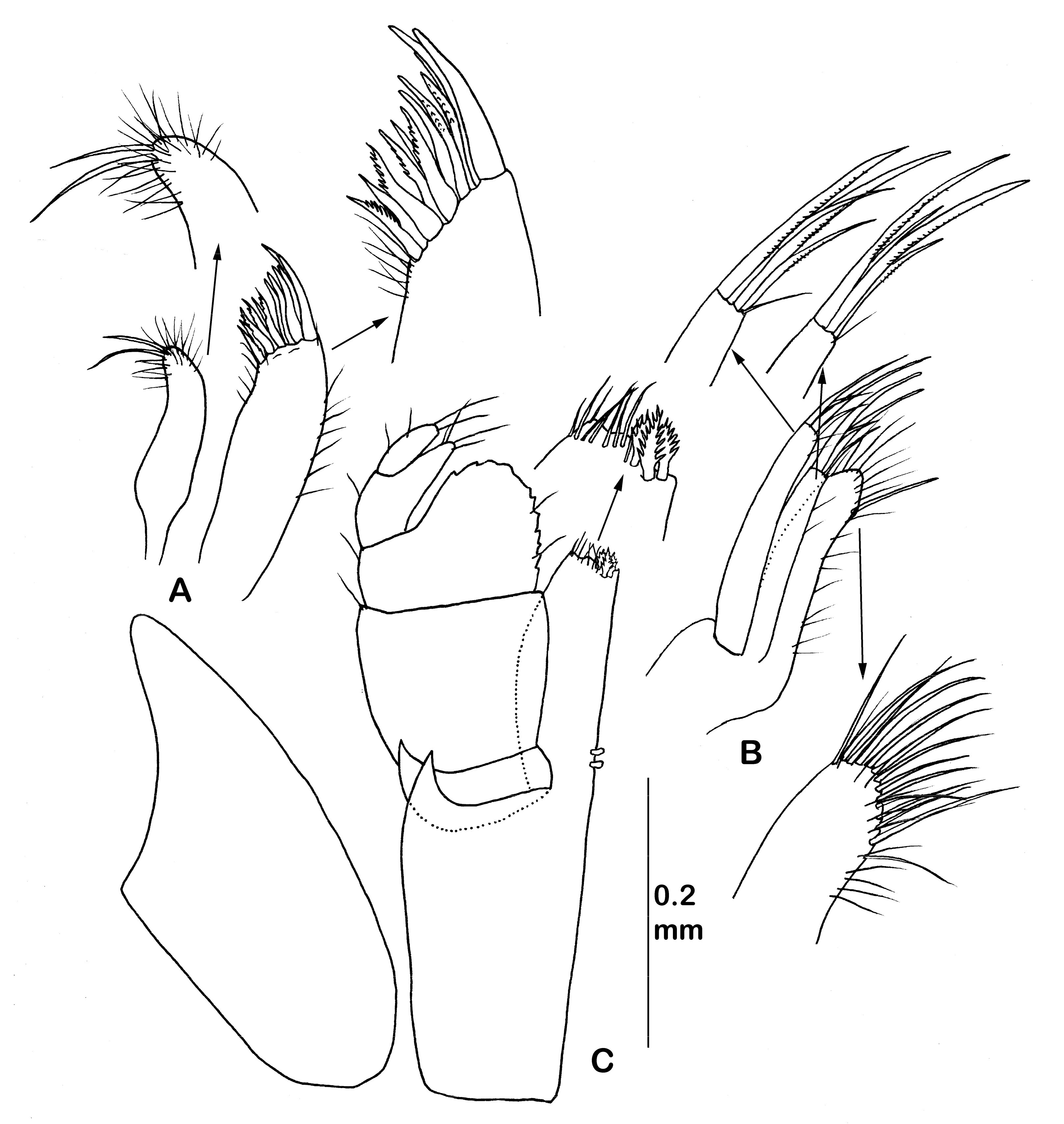 Diversity 14 00545 g028 550