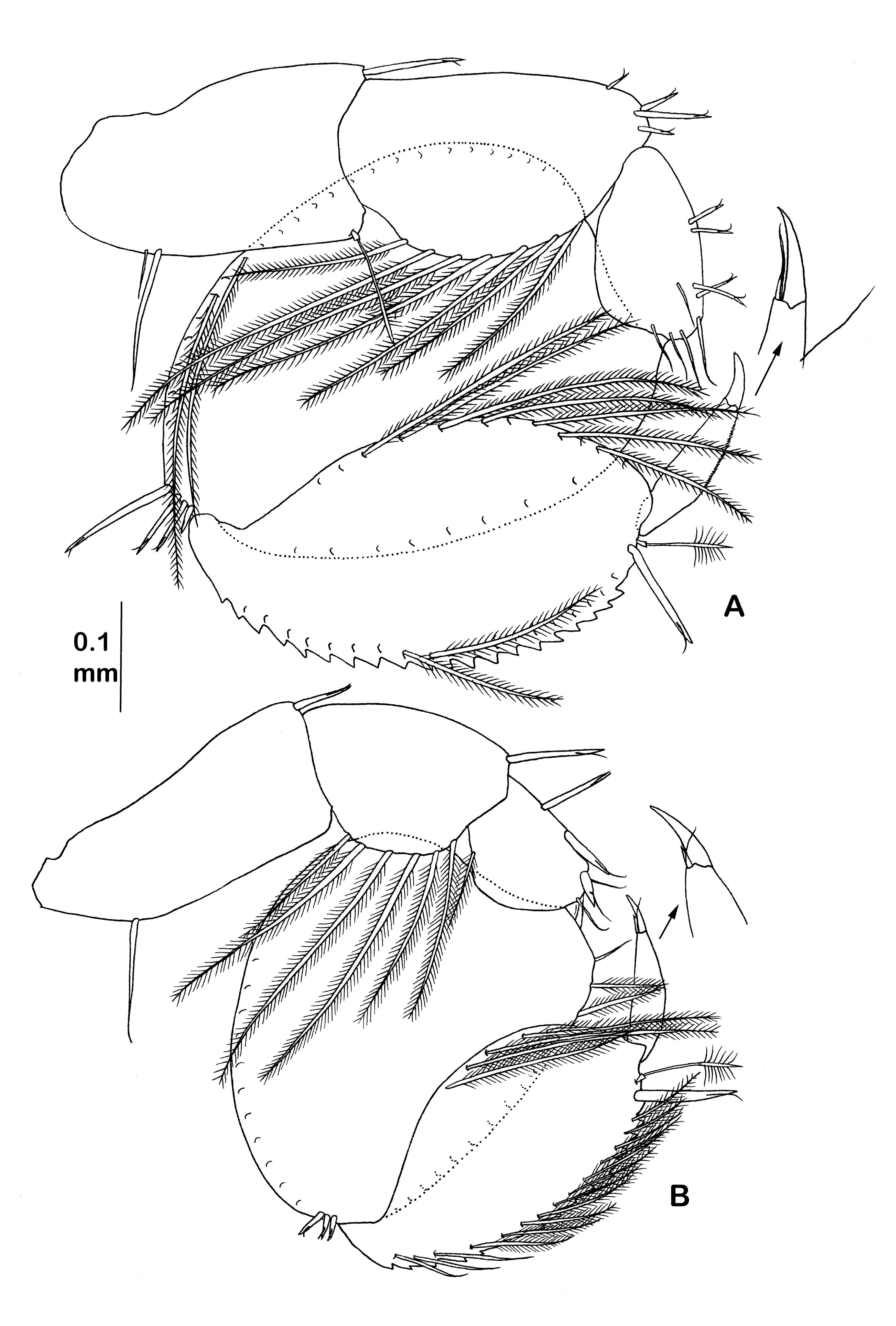 Diversity 14 00545 g029 550