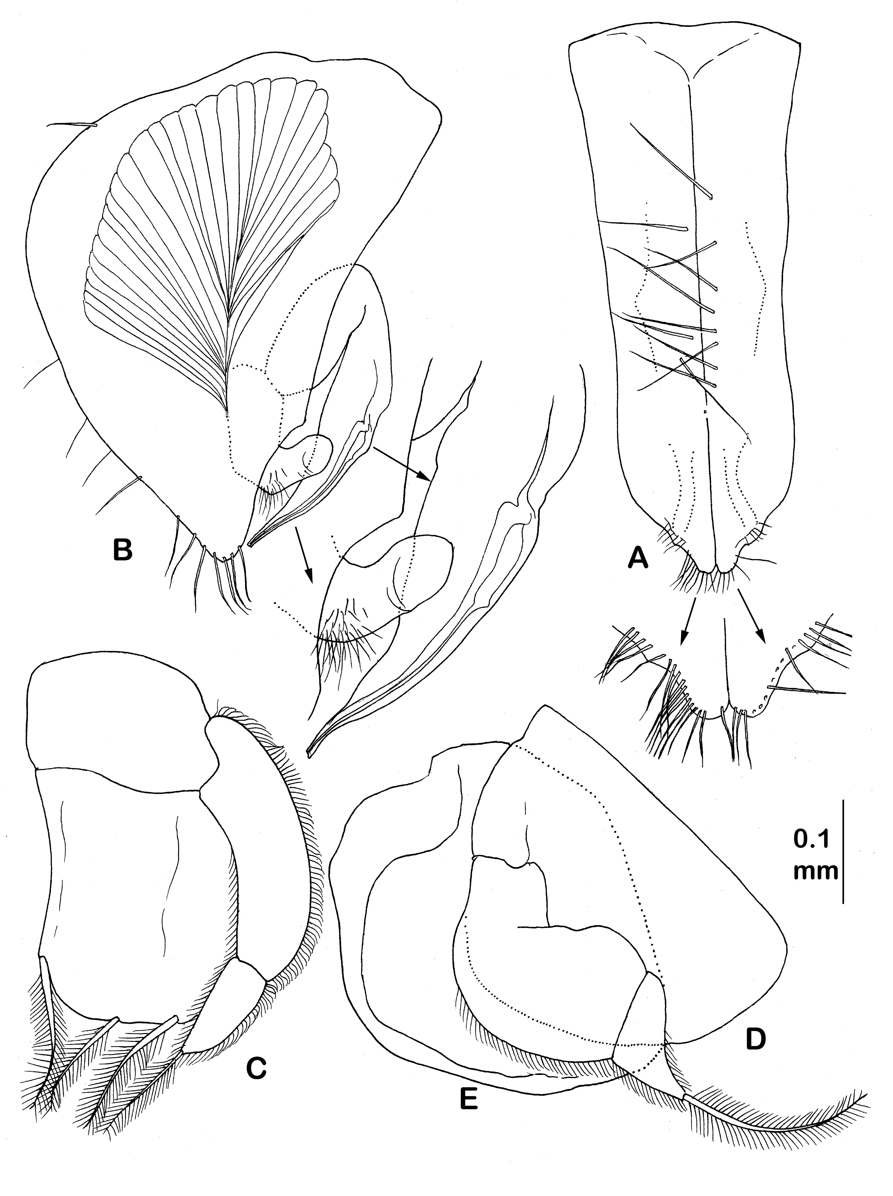 Diversity 14 00545 g030 550