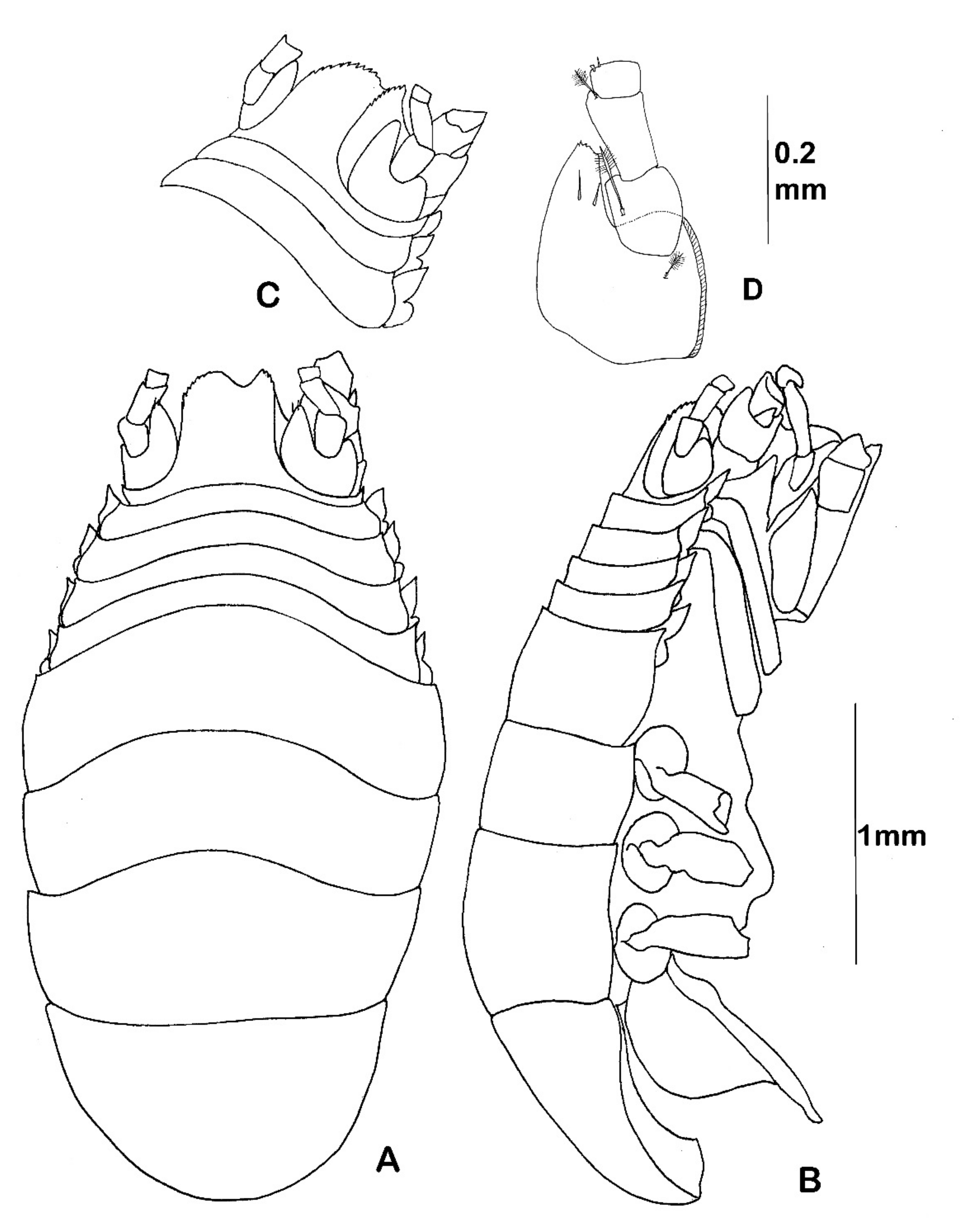 Diversity 14 00545 g031 550