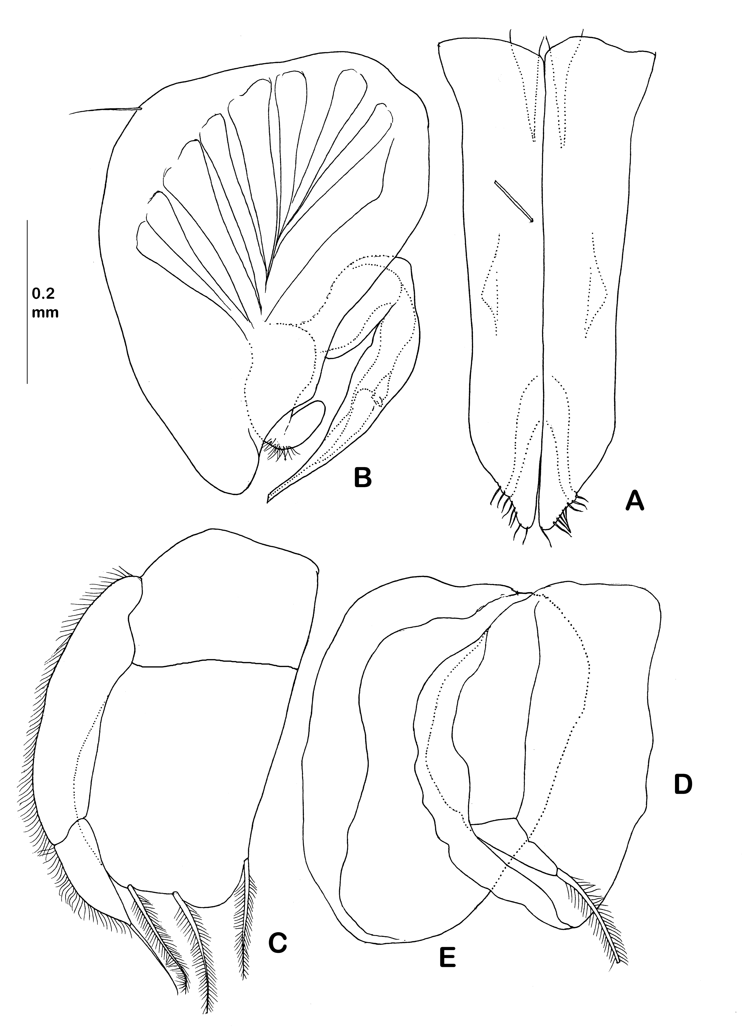 Diversity 14 00545 g032 550