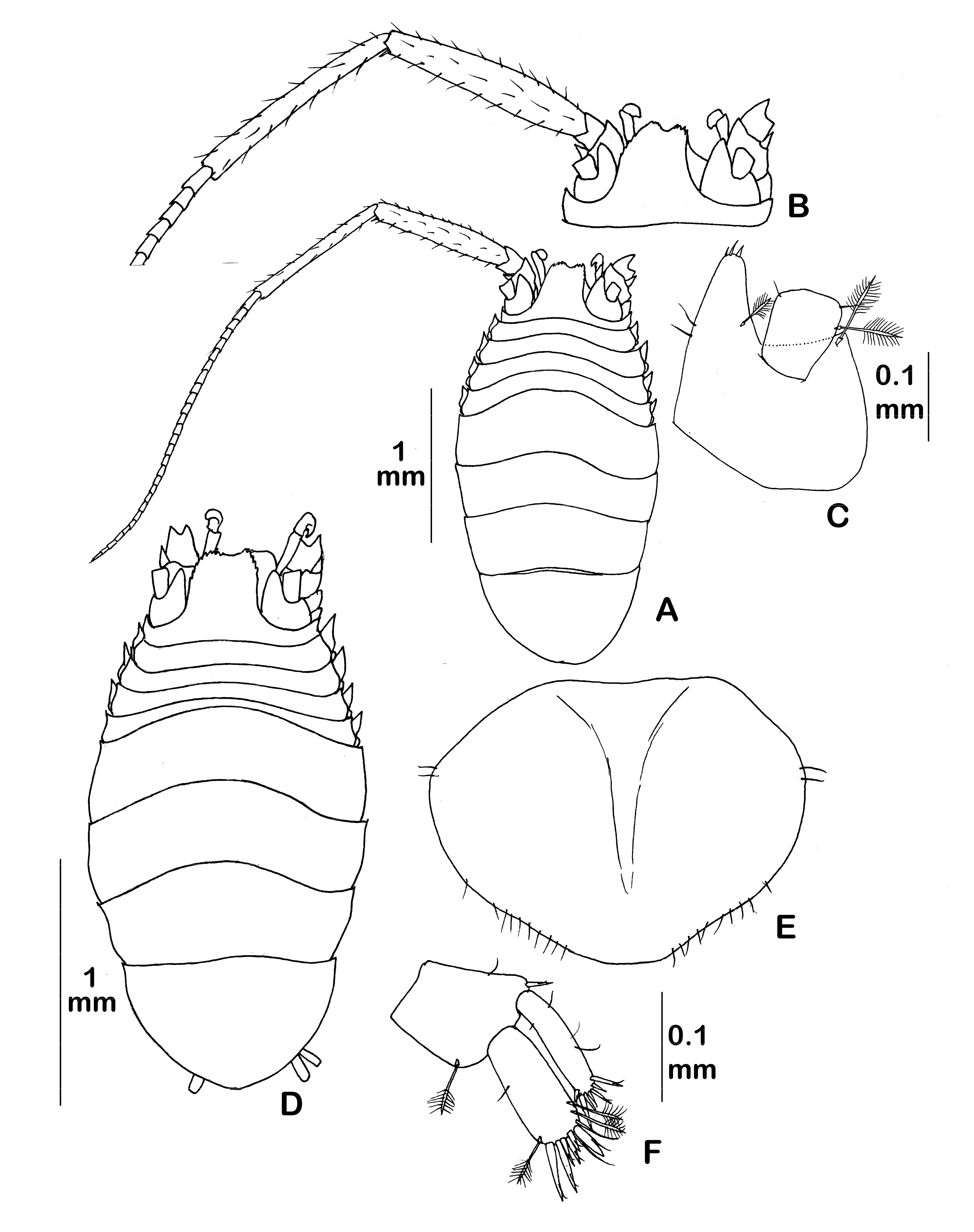 Diversity 14 00545 g033 550