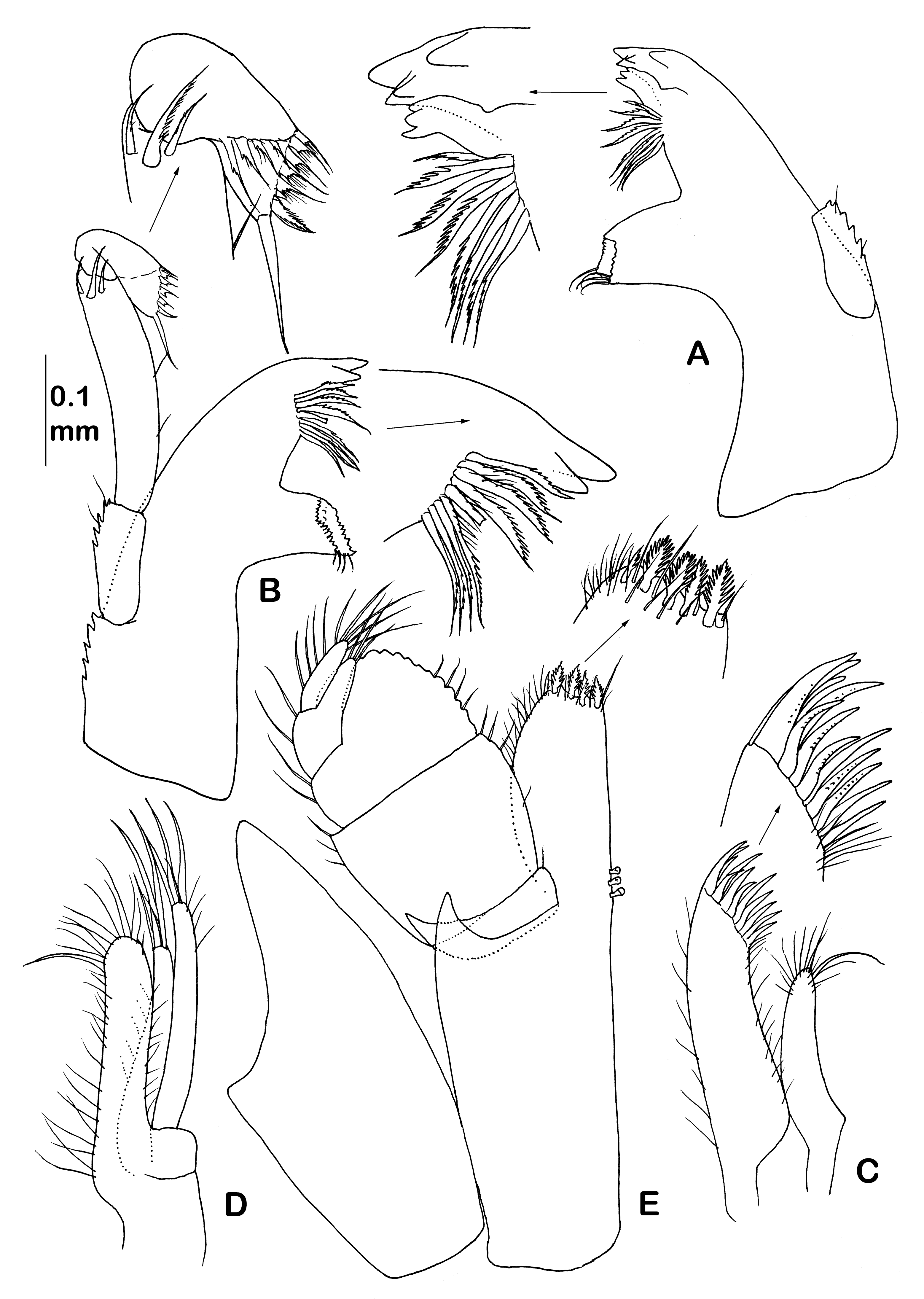 Diversity 14 00545 g034 550