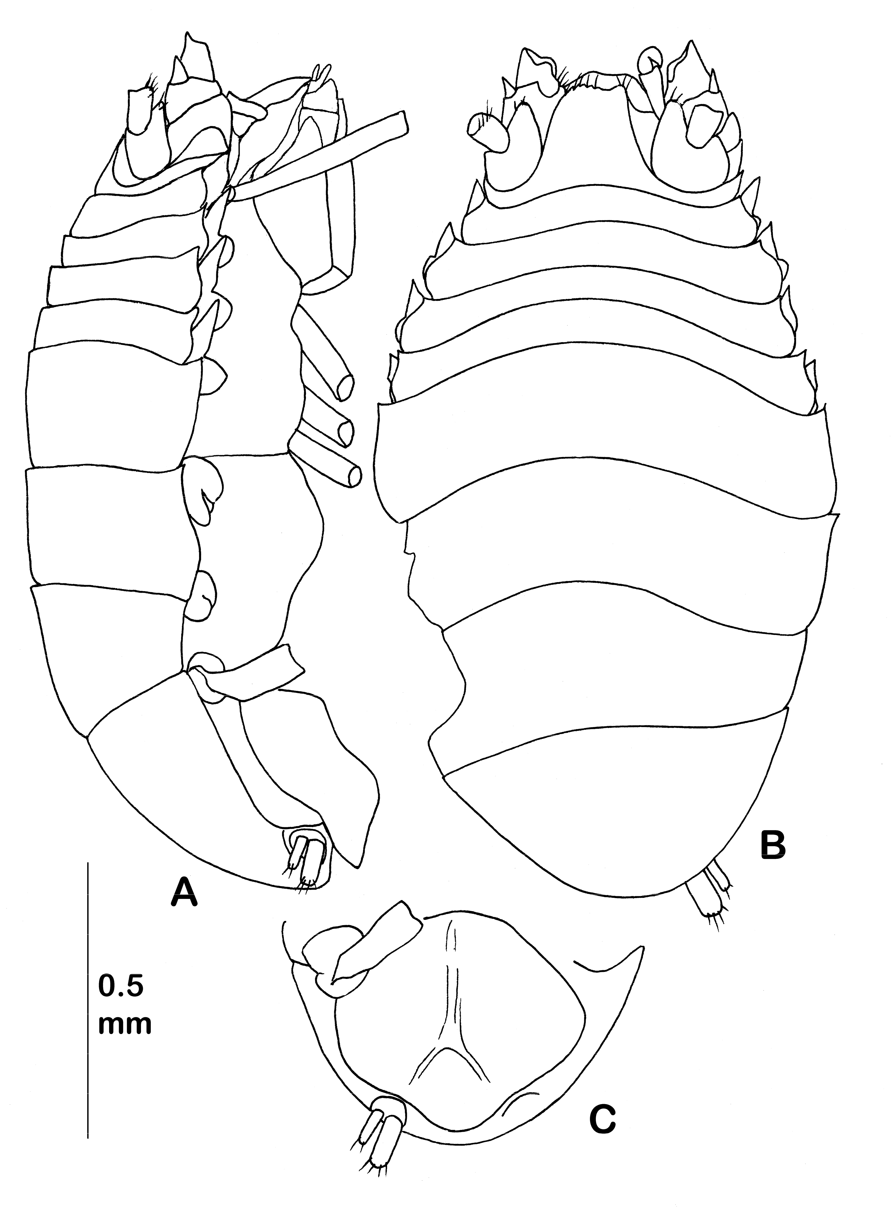 Diversity 14 00545 g035 550