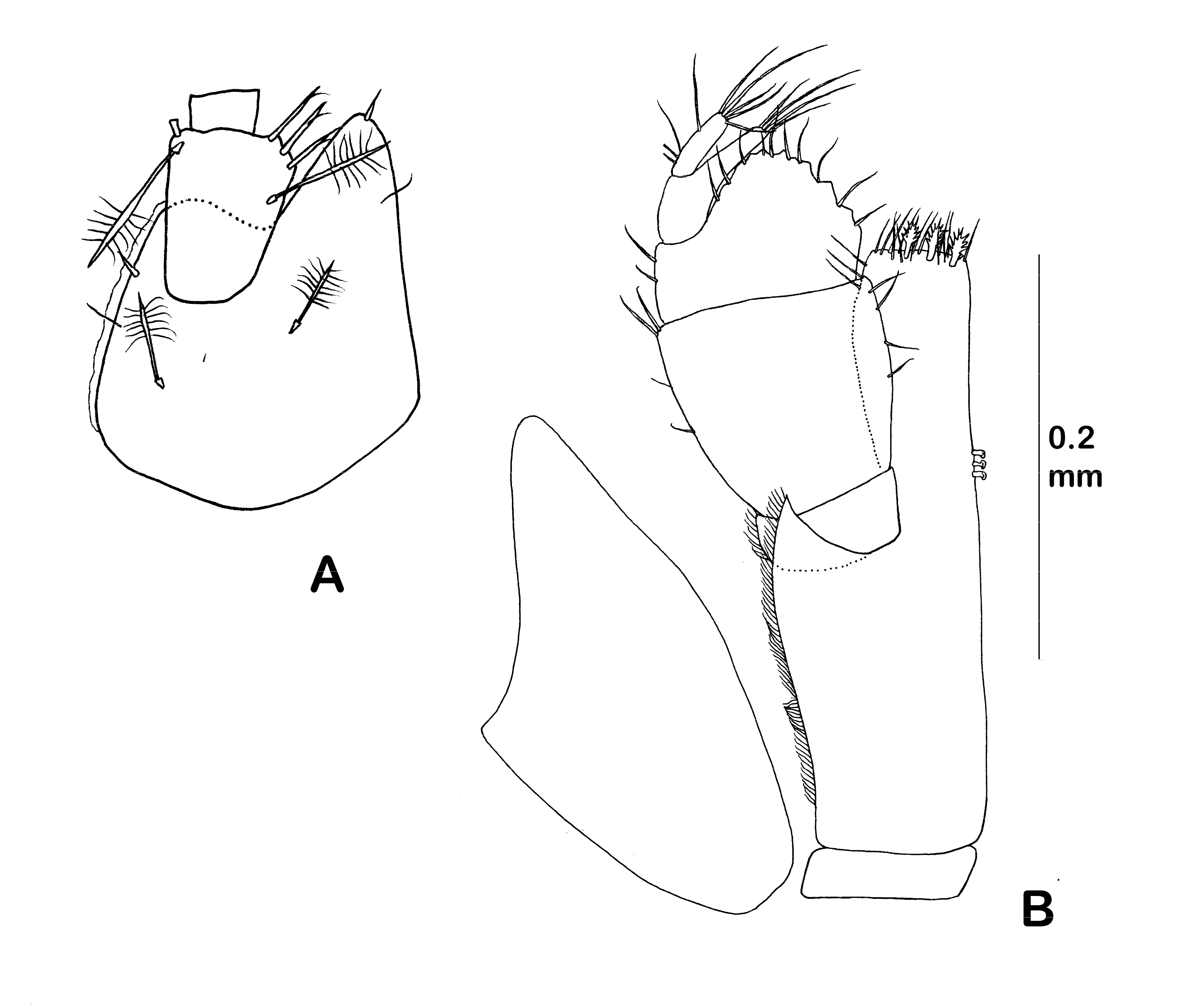 Diversity 14 00545 g036 550