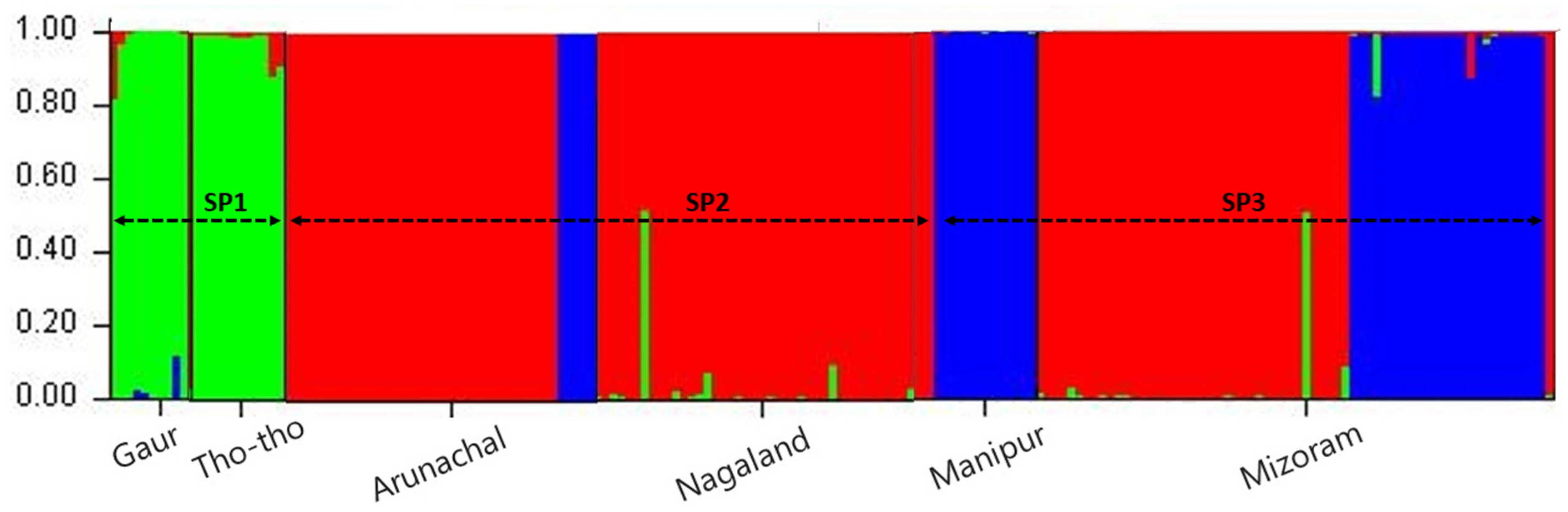 Diversity 14 00548 g002