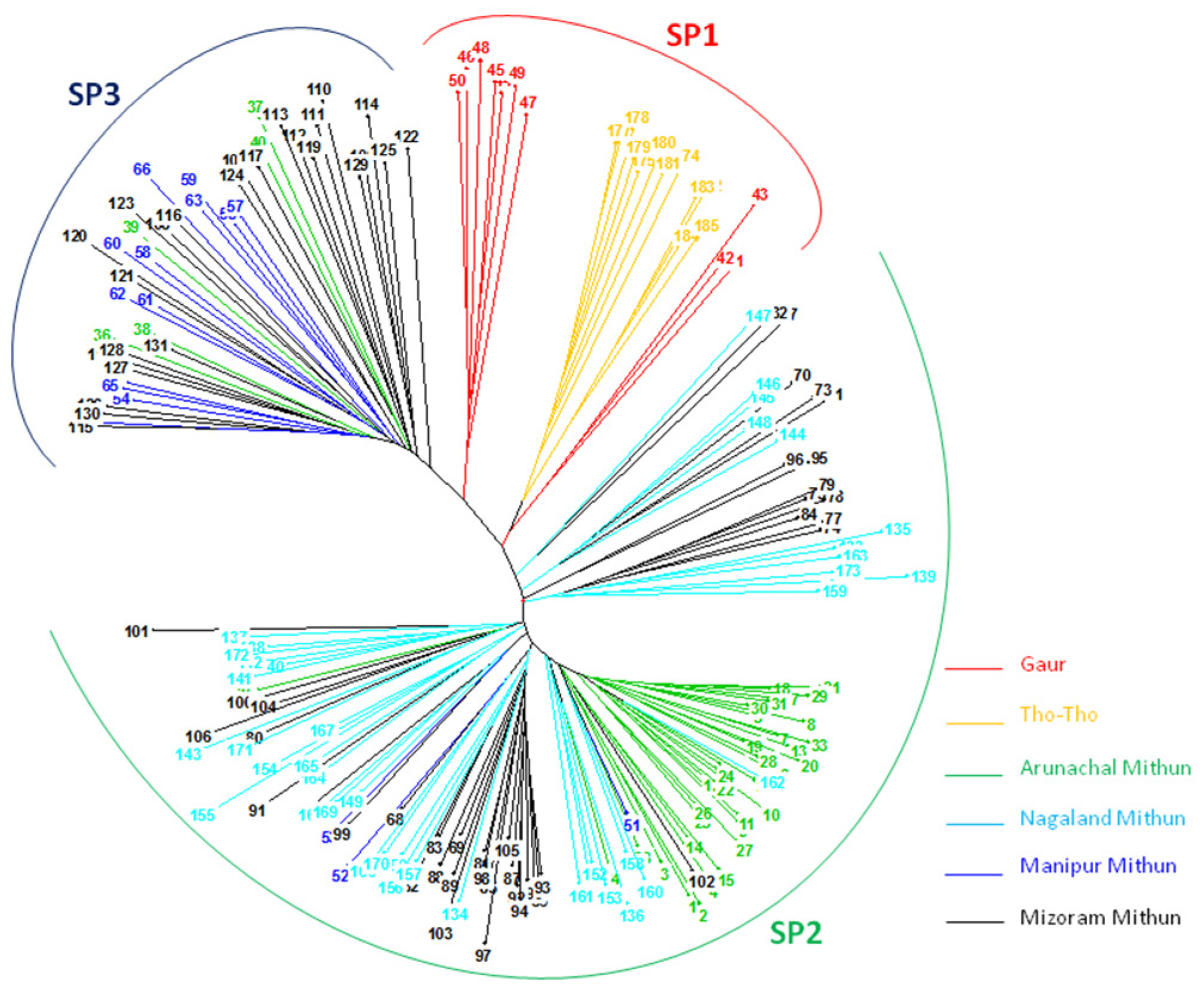 Diversity 14 00548 g003