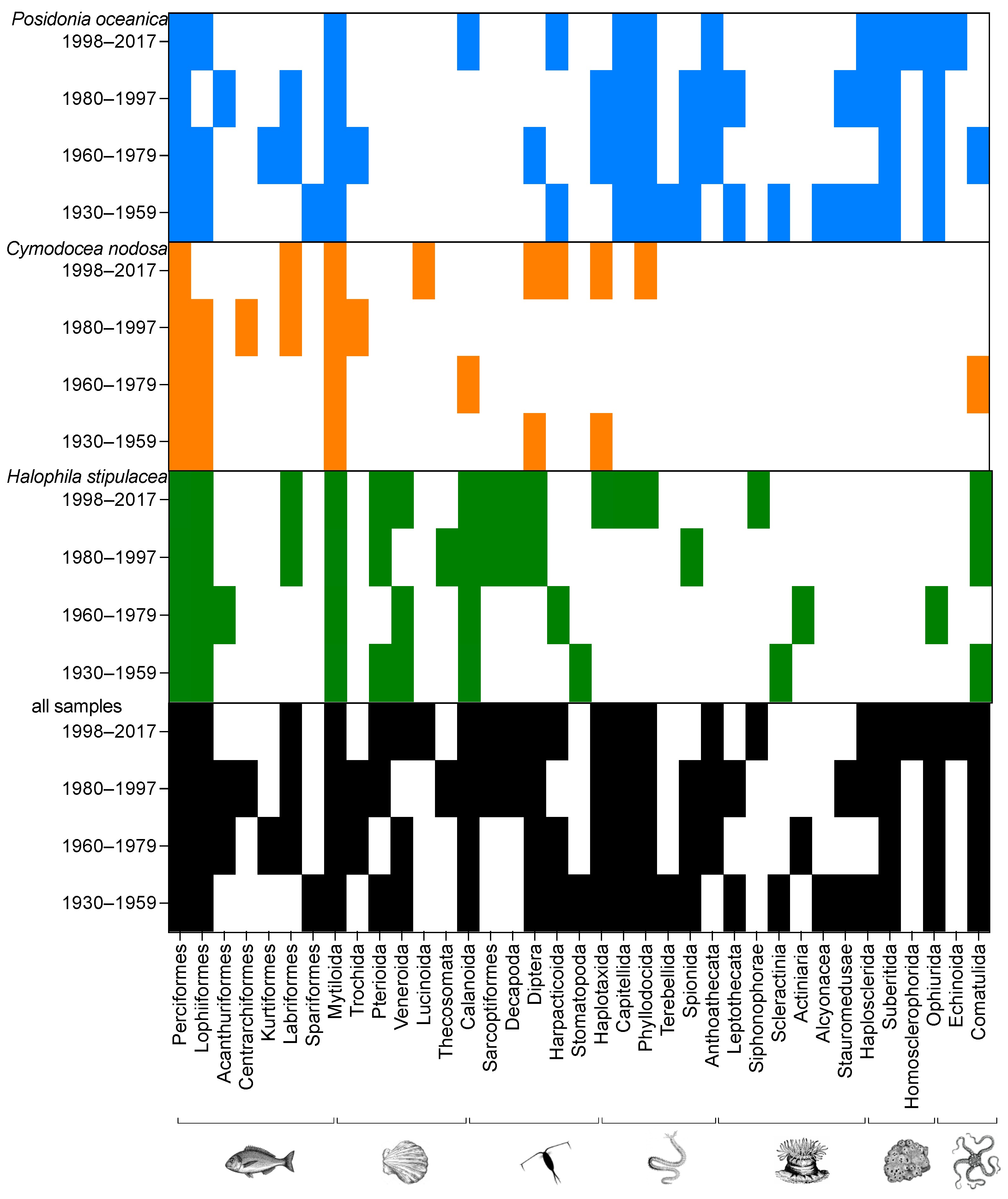 Diversity 14 00549 g004