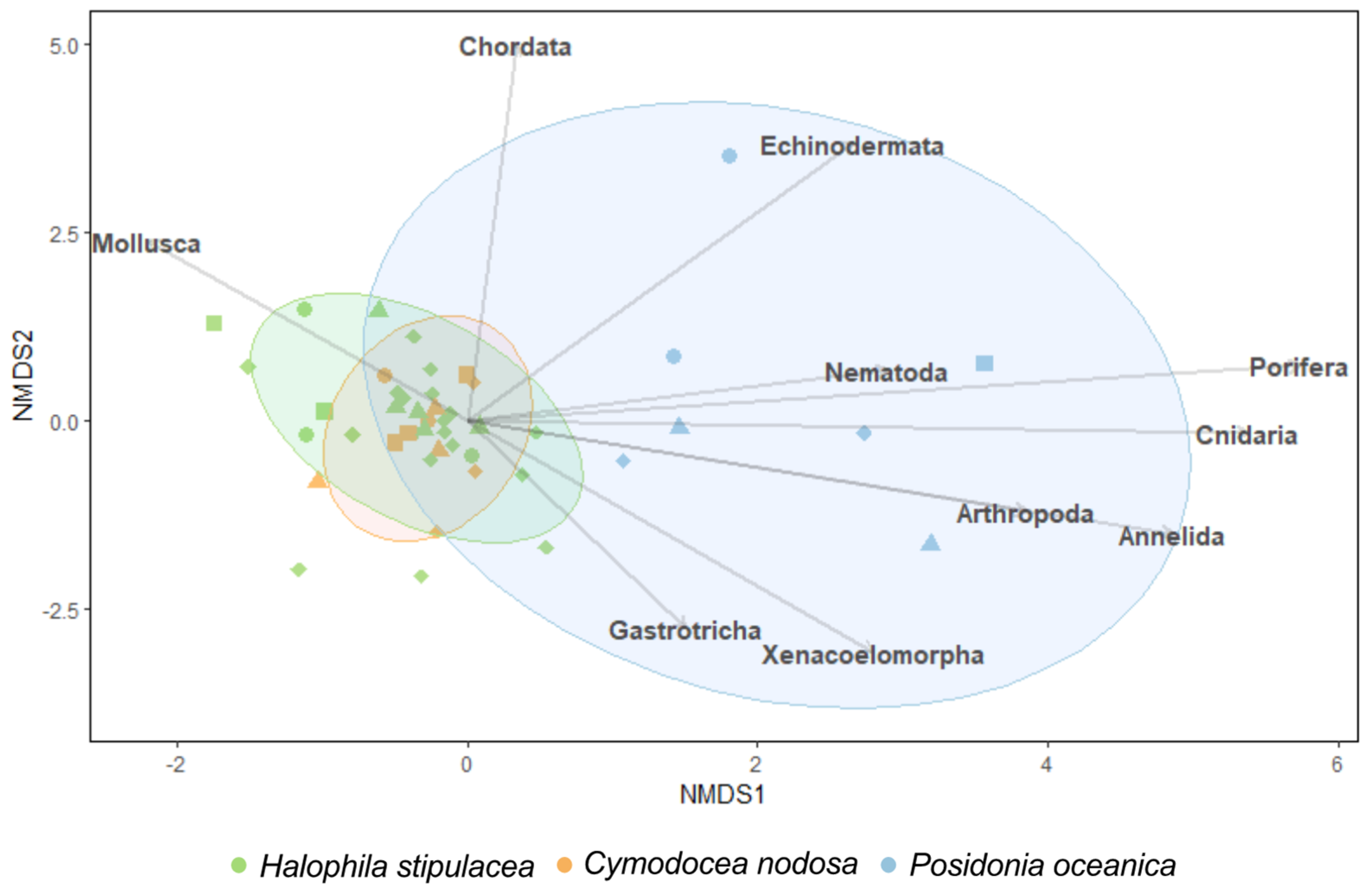 Diversity 14 00549 g005