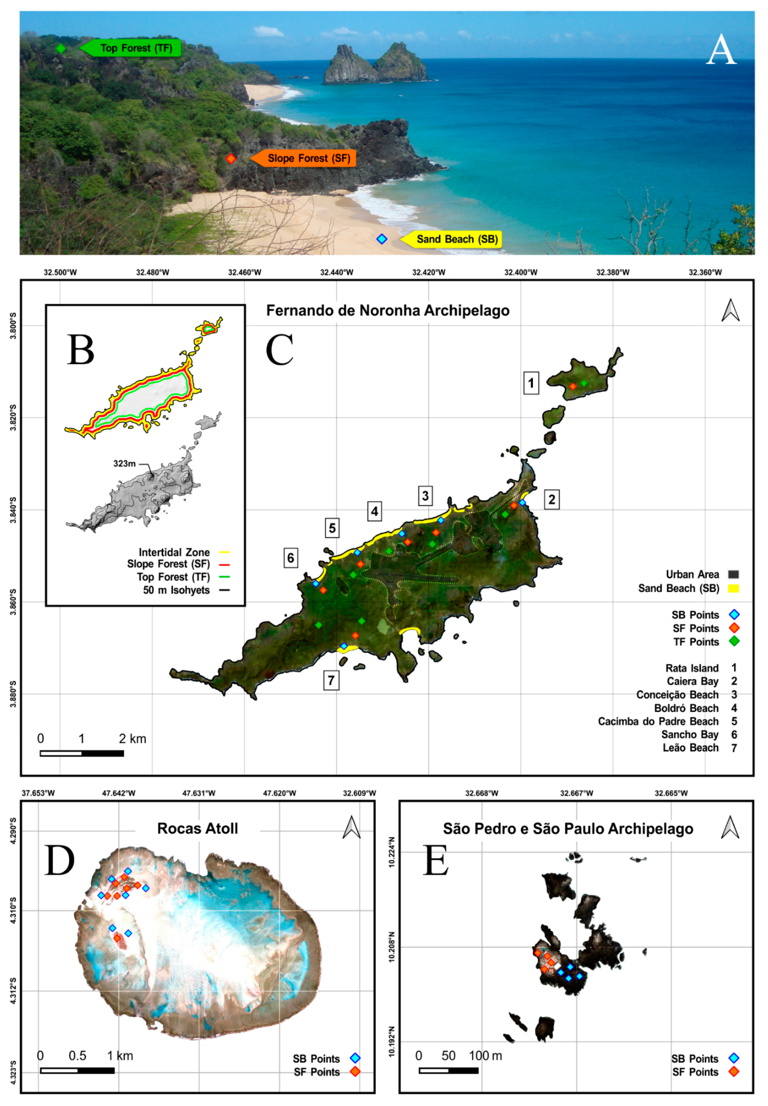 Diversity 14 00553 g002 Diversity 14 00553 g002
